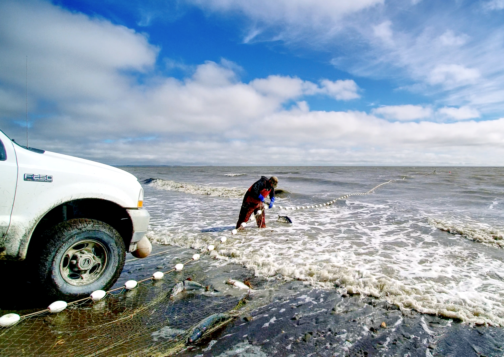 Screen Shot 2017-07-23 at 7.23.43 PM.jpg