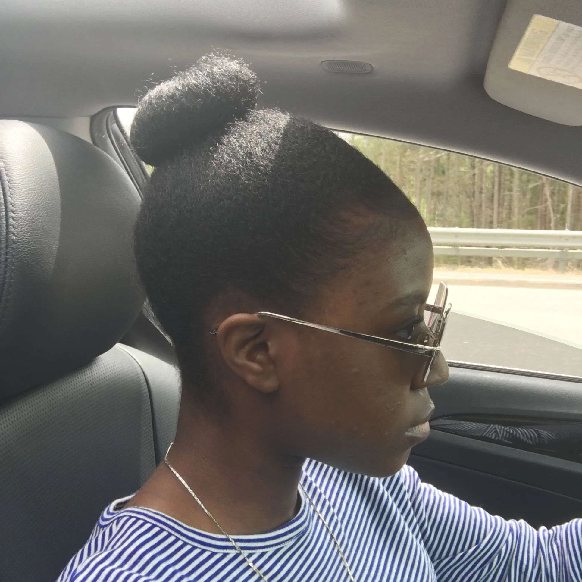All Natural High Bun