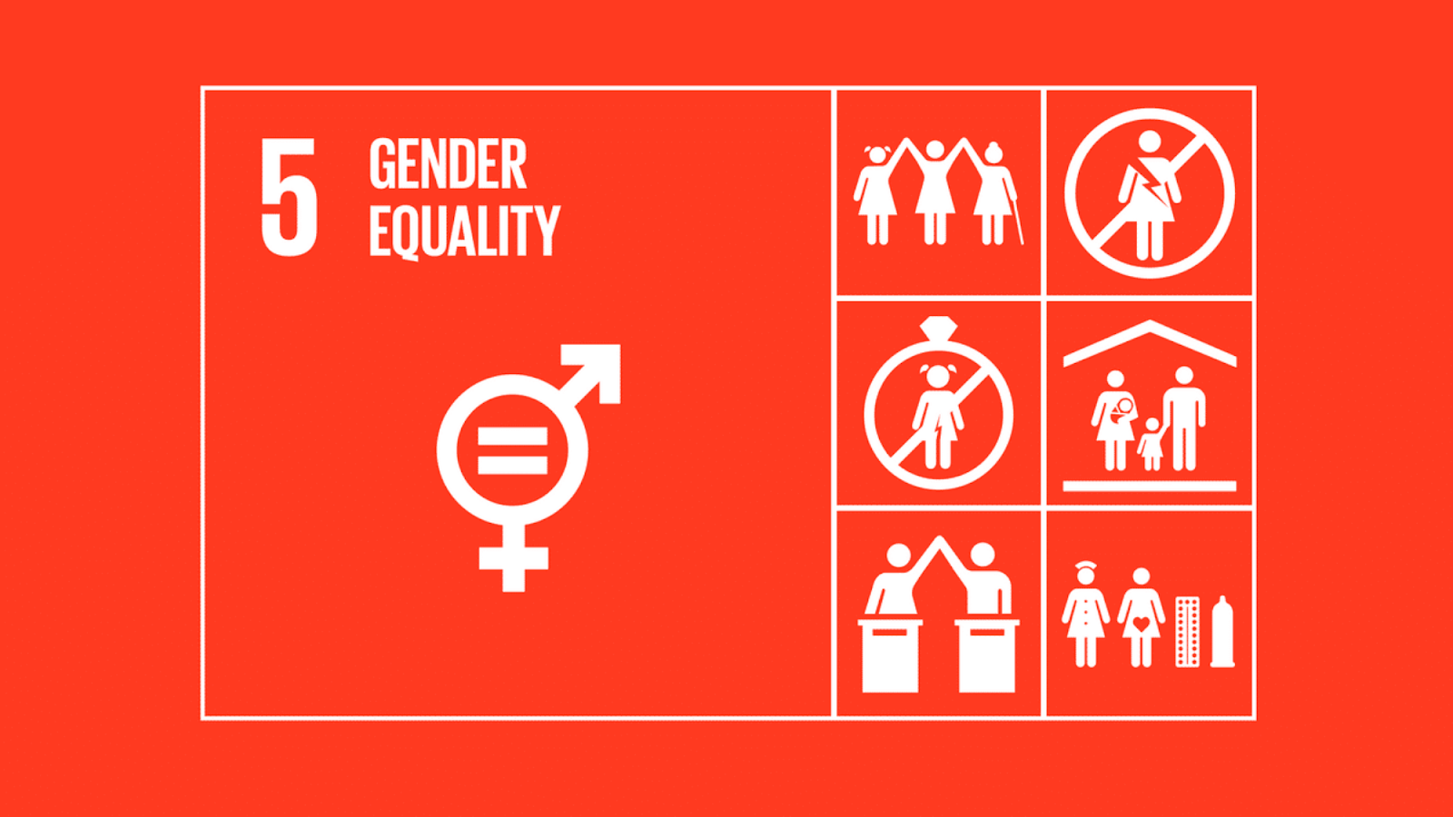 sdg-5.png