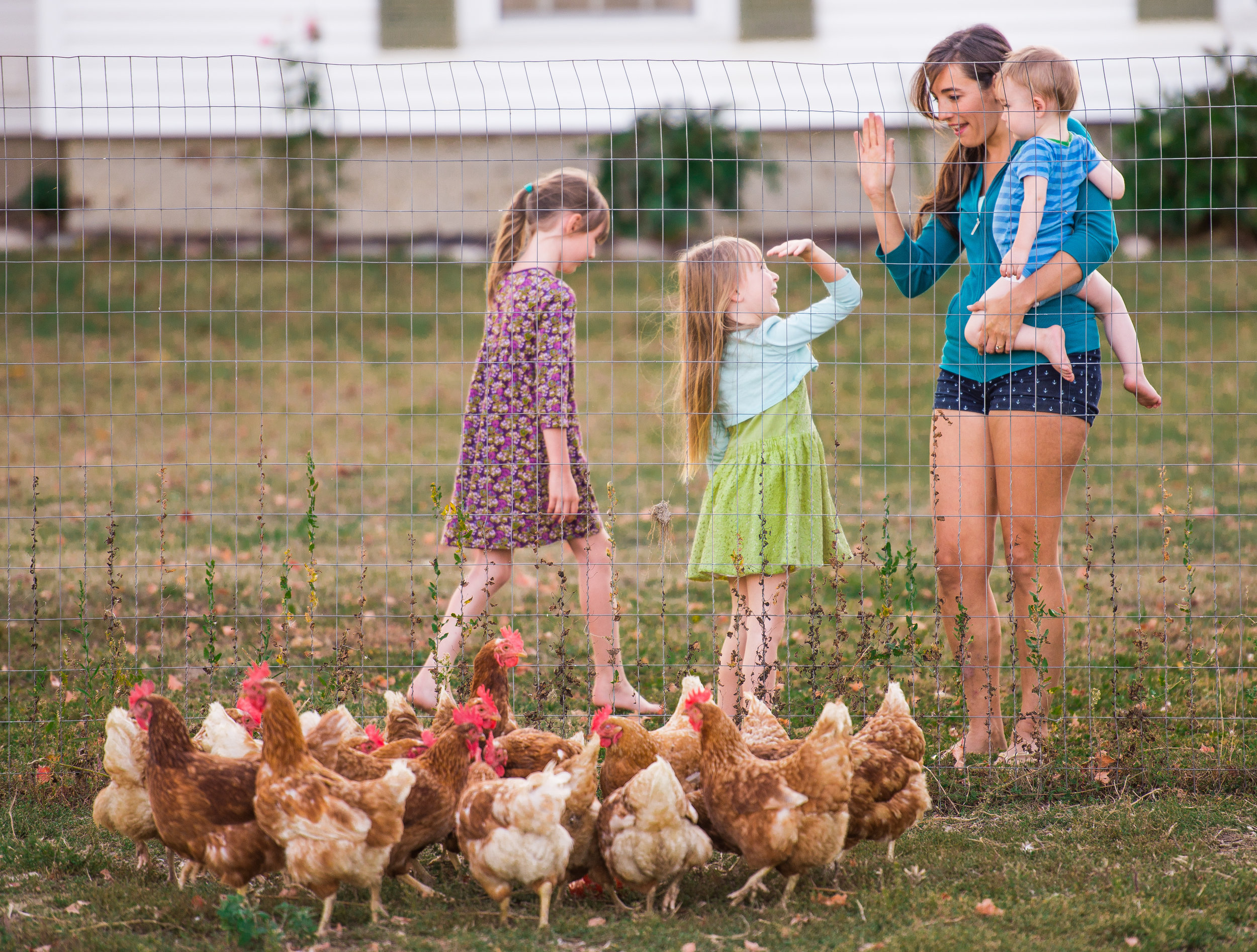  Jessamine, 5, high-fives her mother Michelle after giving an old red pepper to chickens at her grandmother Barb Monroe's home in Alma, Sept. 18. Barb, Fred's mother, watches the kids when Fred and Michelle are making drop-offs or working at the farm