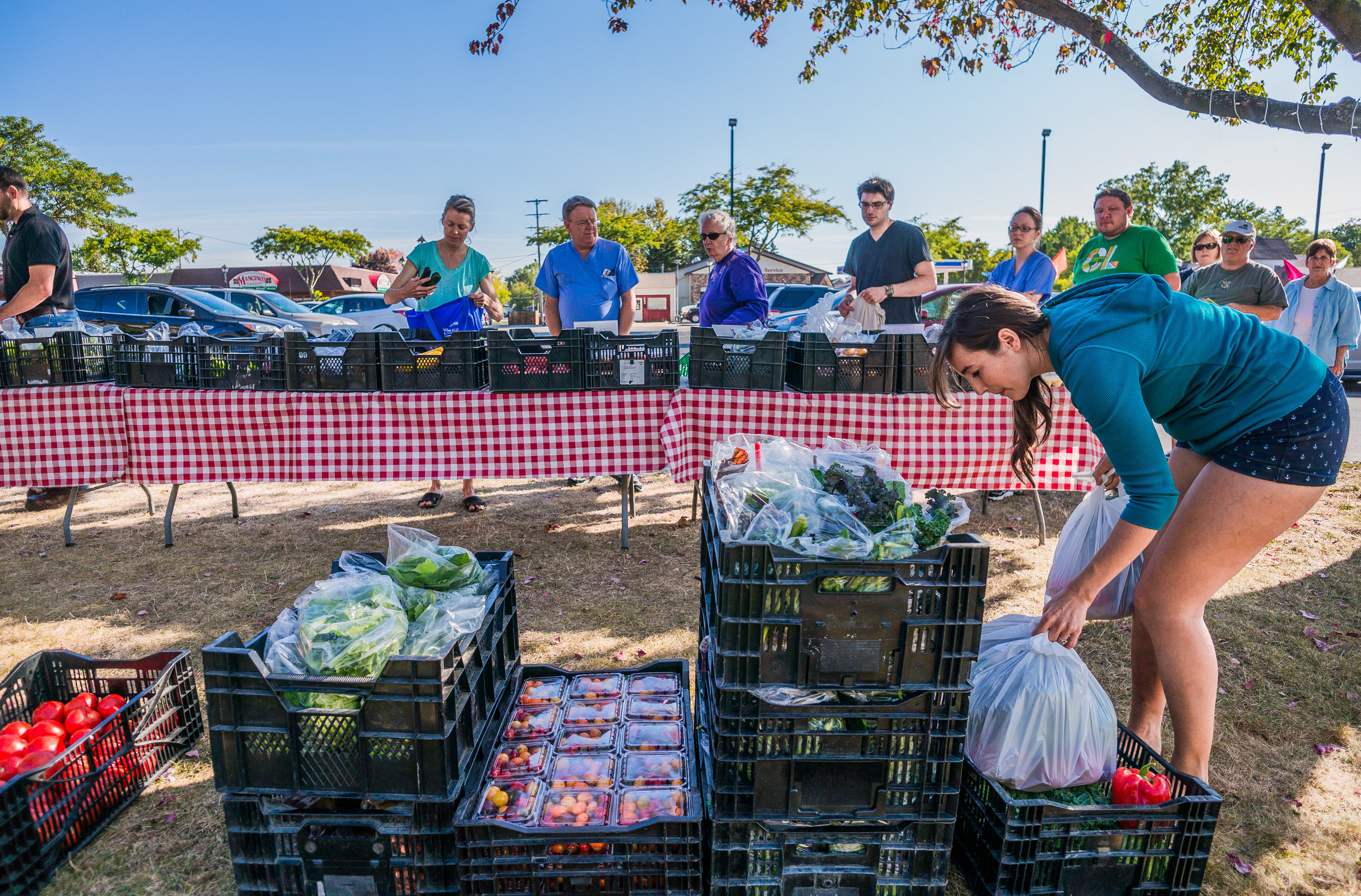  Michelle unpacks vegetables during a drop-off at the Alma First Church of God parking lot on Sept. 18. The Monroes receive most of their customers through word-of-mouth references. "I love them," Alma native and CSA member Alice Grau said. "They're 