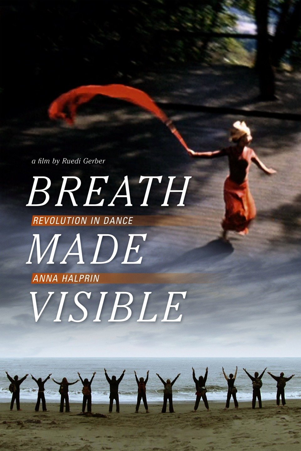 breathmadevisible_poster.jpg