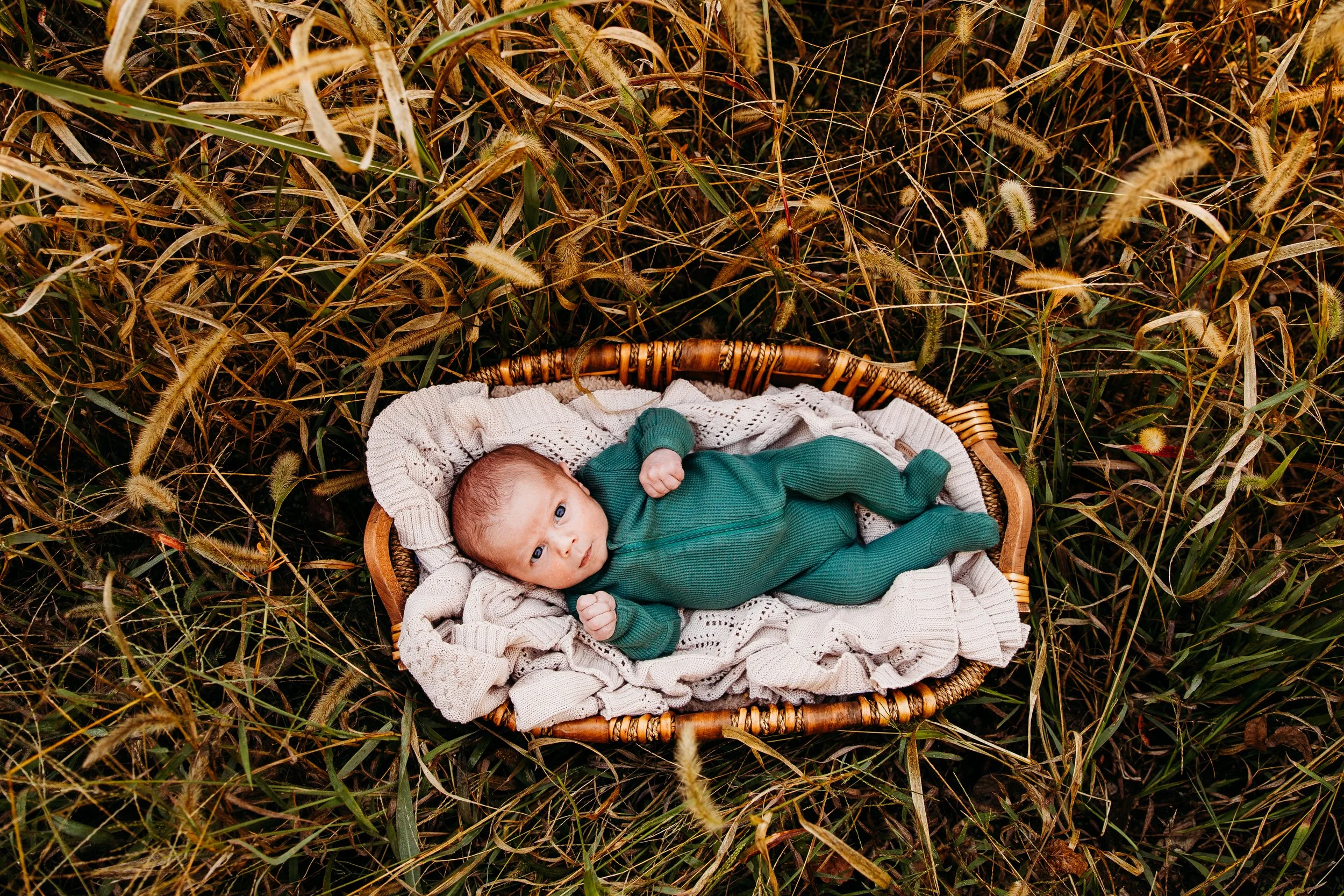 Newborn in basket outdoor newborn session