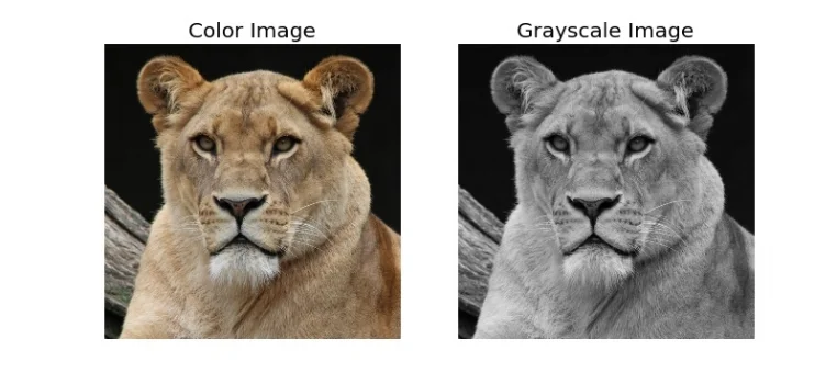 Original Color and Grayscale.jpeg