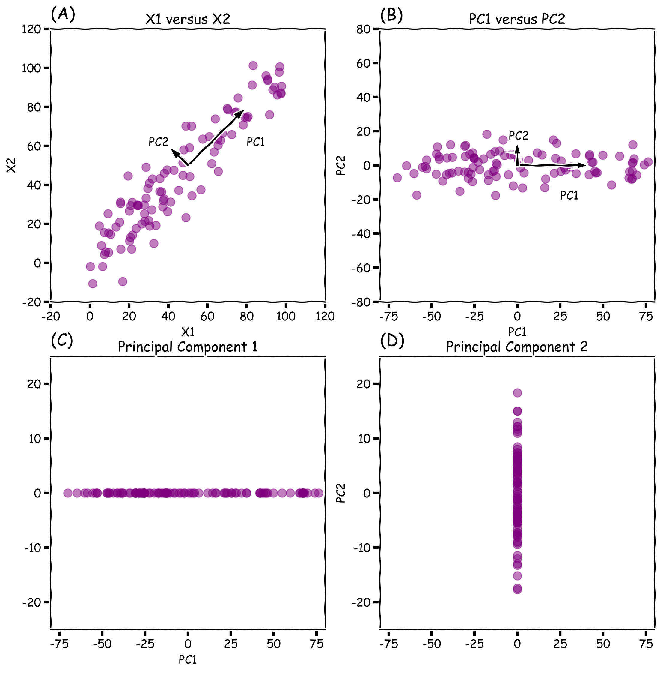 Figure 1: (A) Original data set showing X1 and X2, (B) Data transformed to its principal components 1 and 2, (C) Figure presenting only the projection of principal component 1, and (D) Figure presenting only the projection of principal component 2.