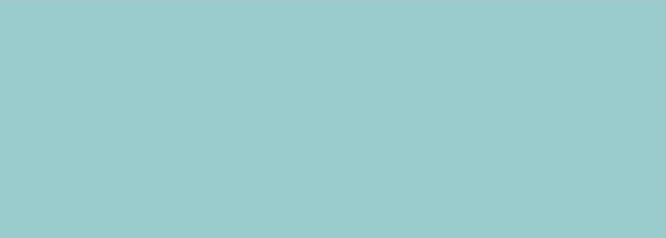 banner-blue.jpg