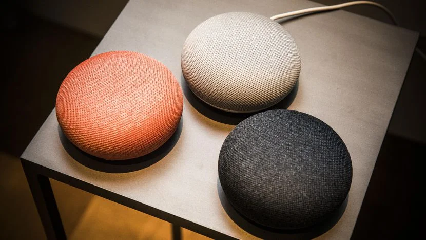 google home mini coral