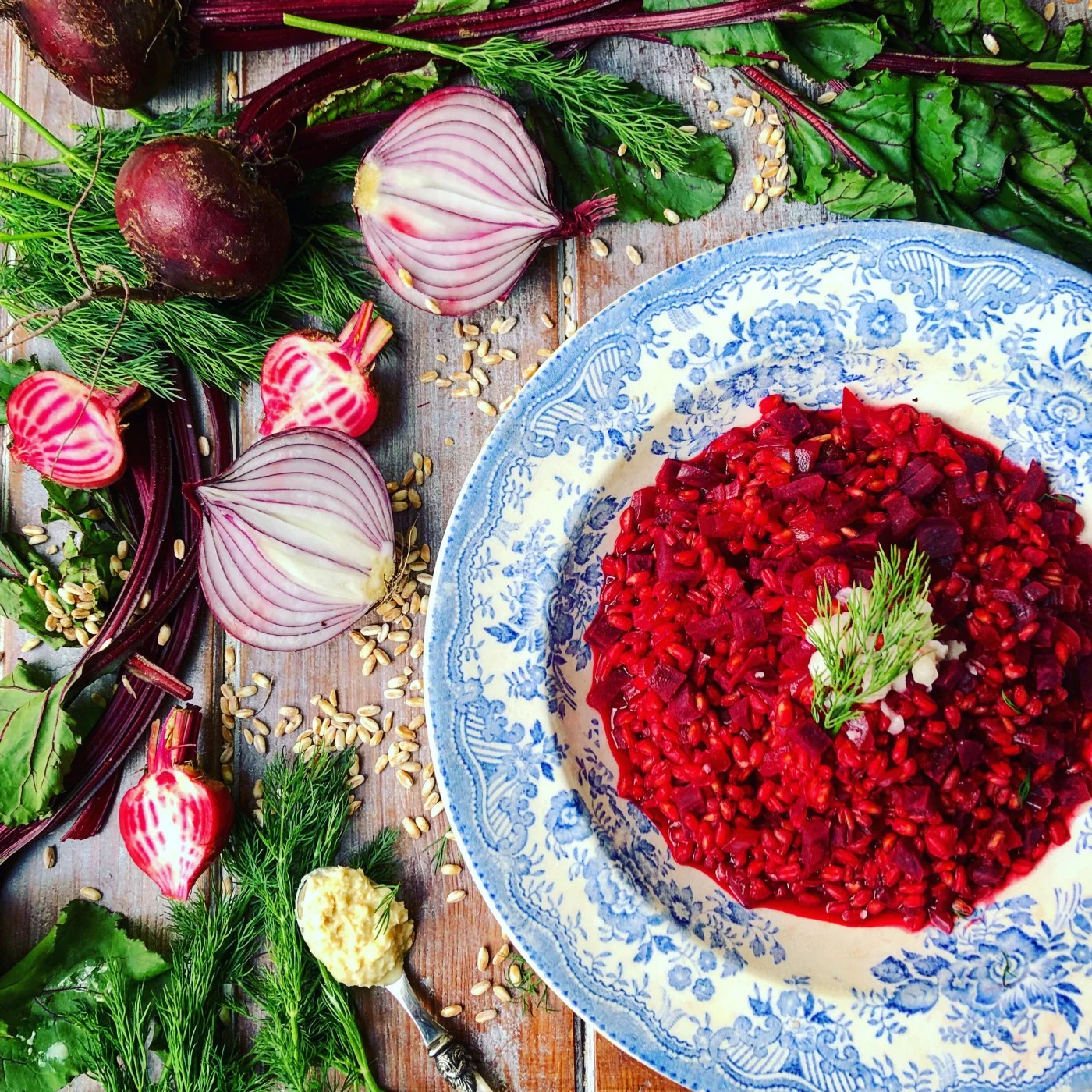 Beetroot & Horseradish Speltotto