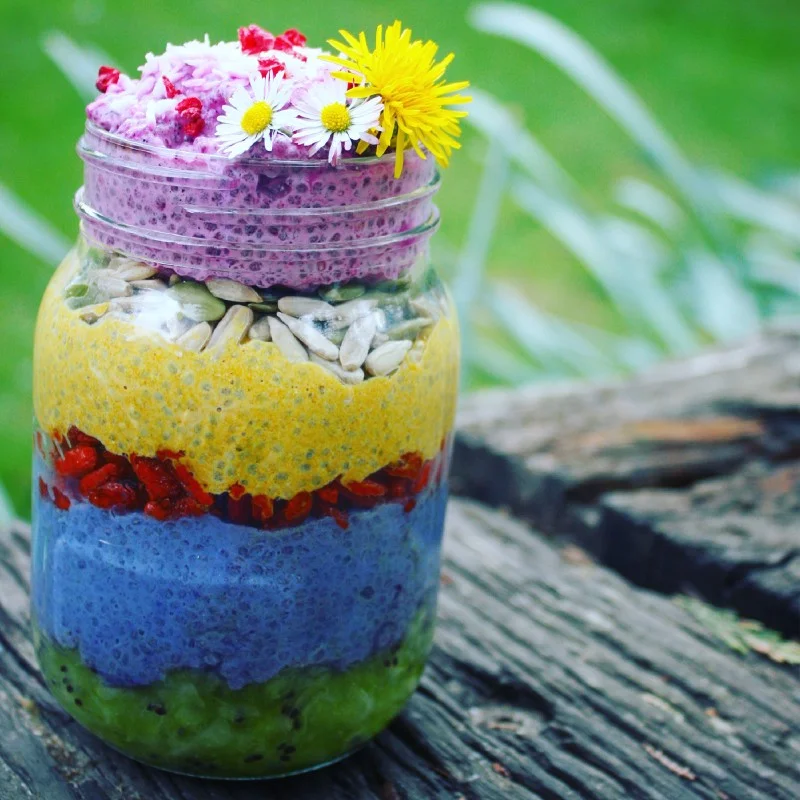 Rainbow Chia Pot