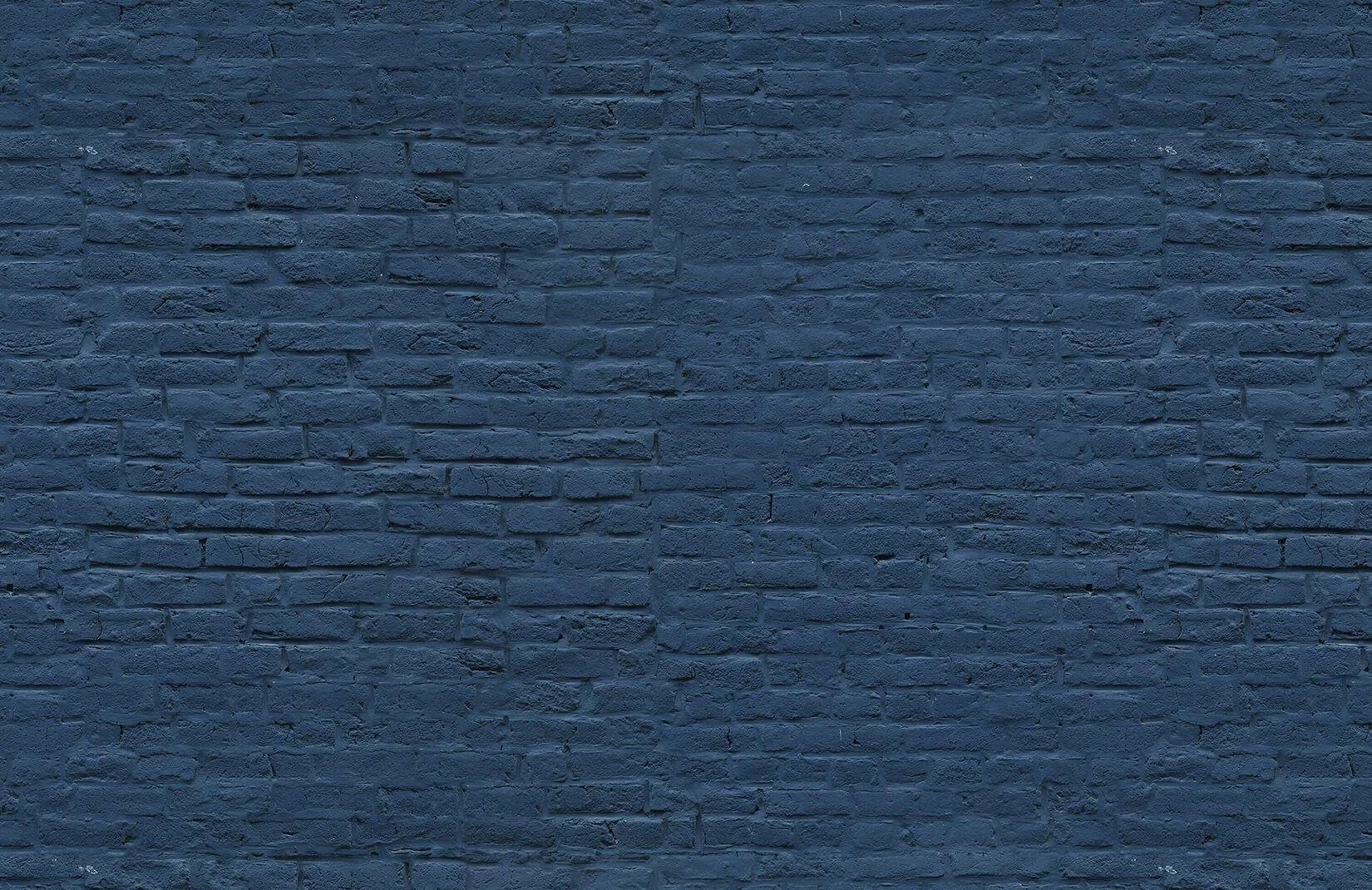 3200509.jpg