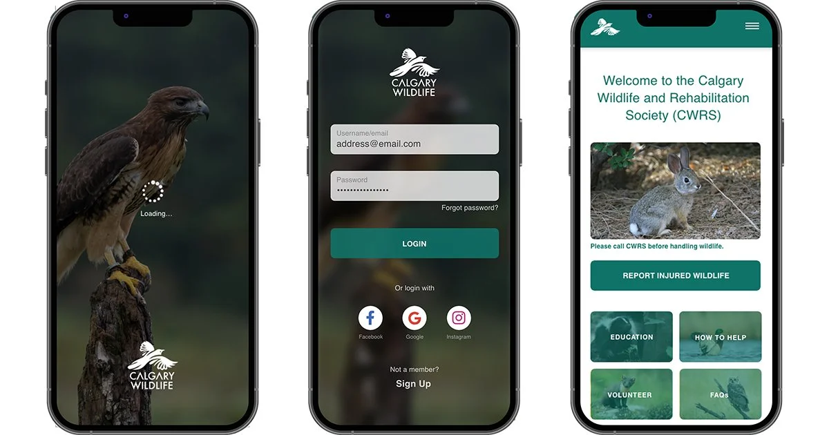 App 1 copy.jpg