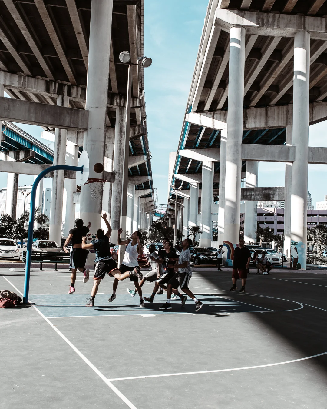 gang gang (1 of 1).jpg