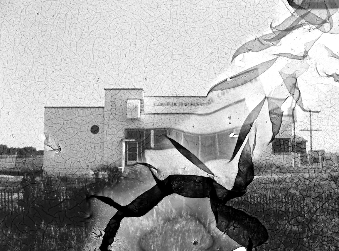 farewell_transmission.png