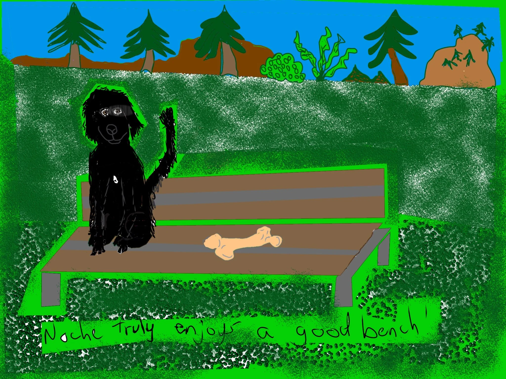 Noche, a black dog, sits on a park bench next to his bone.