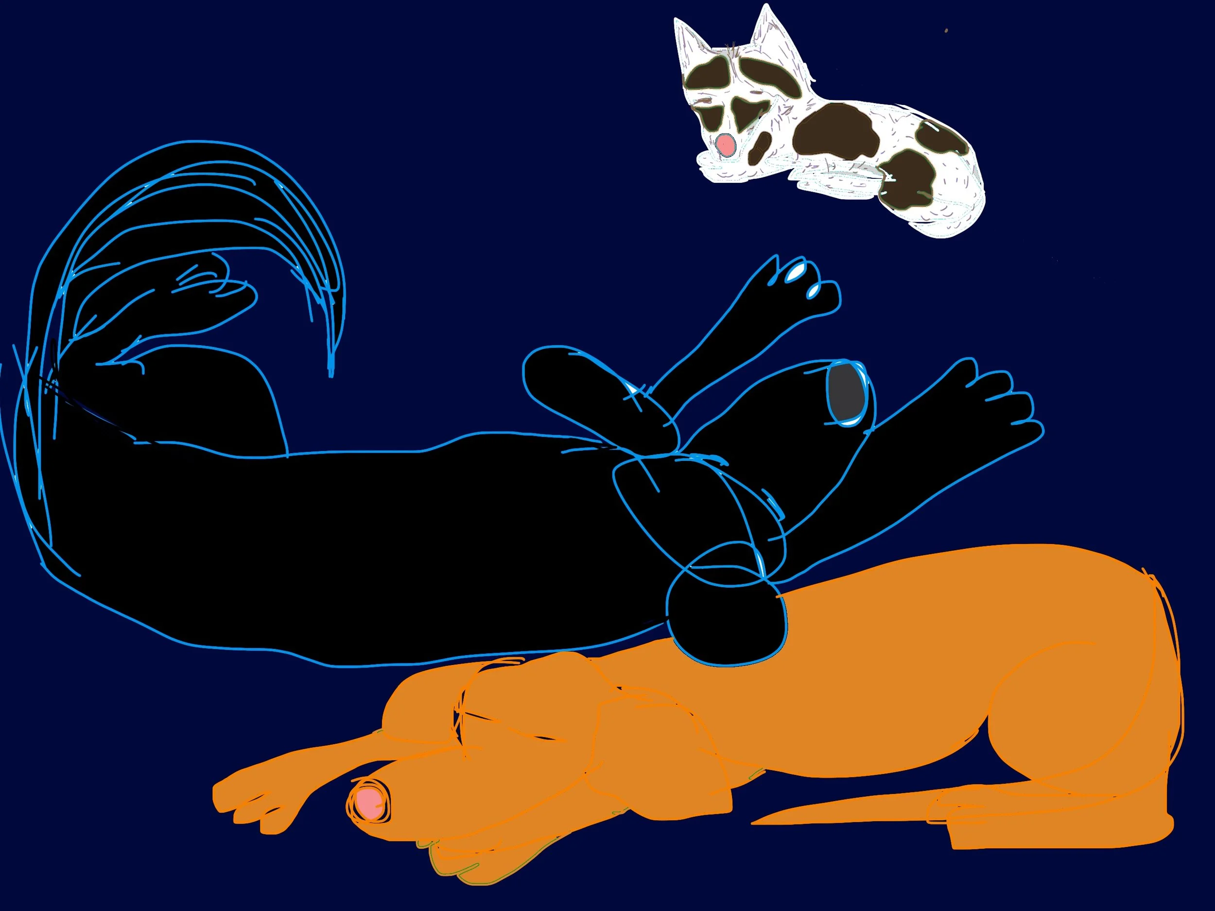 Noche, a black dog, lies with his brother, Koa, a brown dog and his friend Lucy, a small brown and white dog.