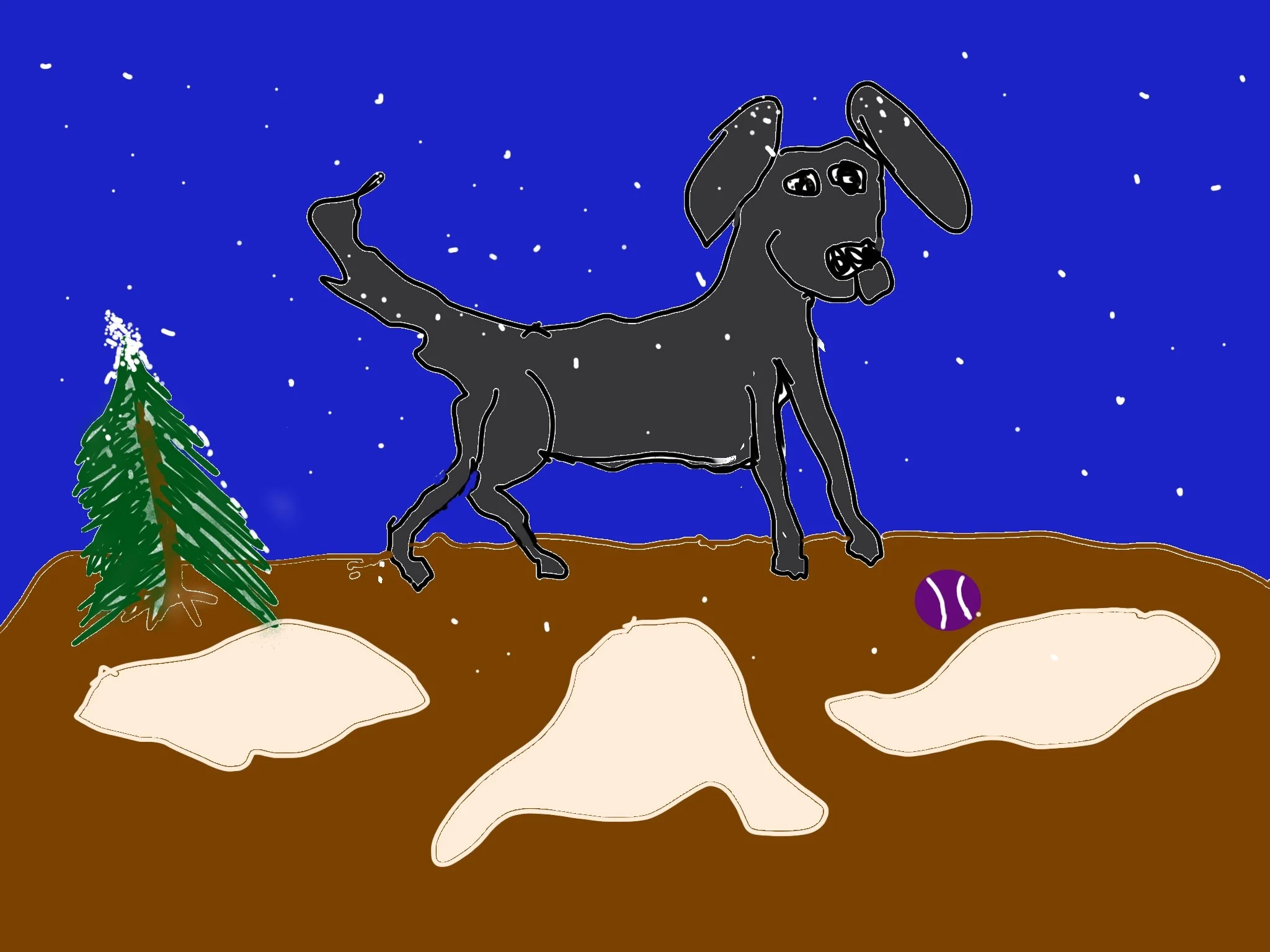 Noche, a black dog in light snowfall