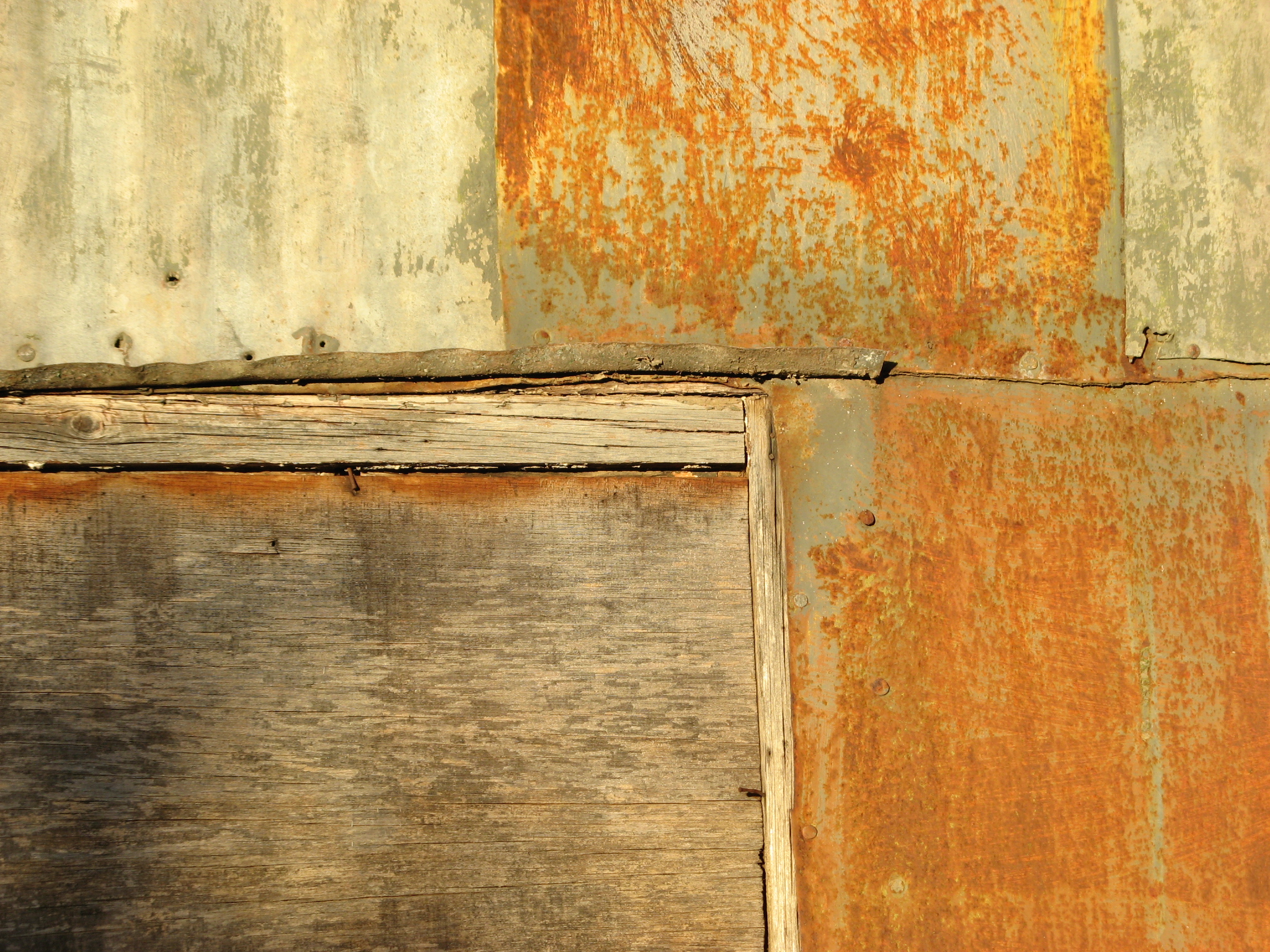 Late afternoon close up of wood and rusted panels of an old shed in Norwood, South Australia.