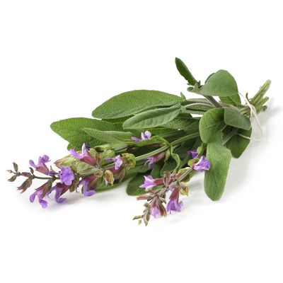 clary sage.png