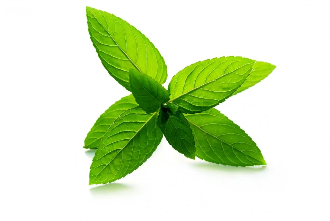 peppermint.jpg
