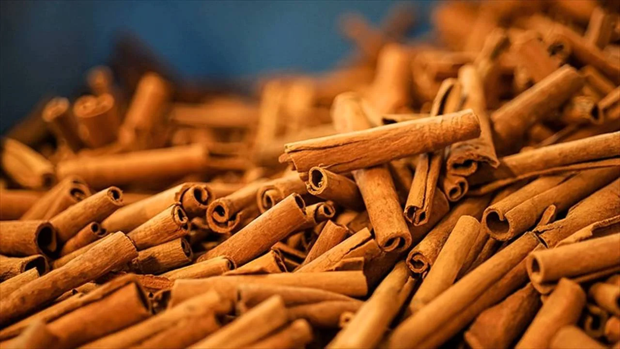 Cassia Oil