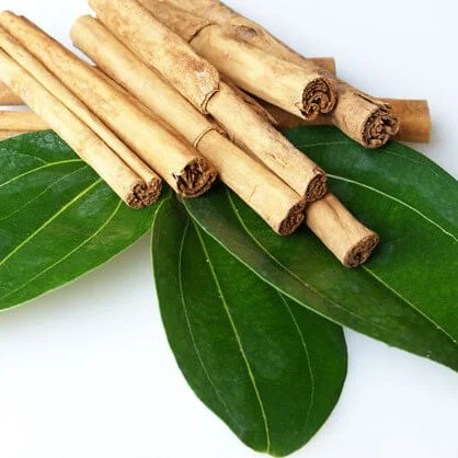 Cinnamon Leaf Oil