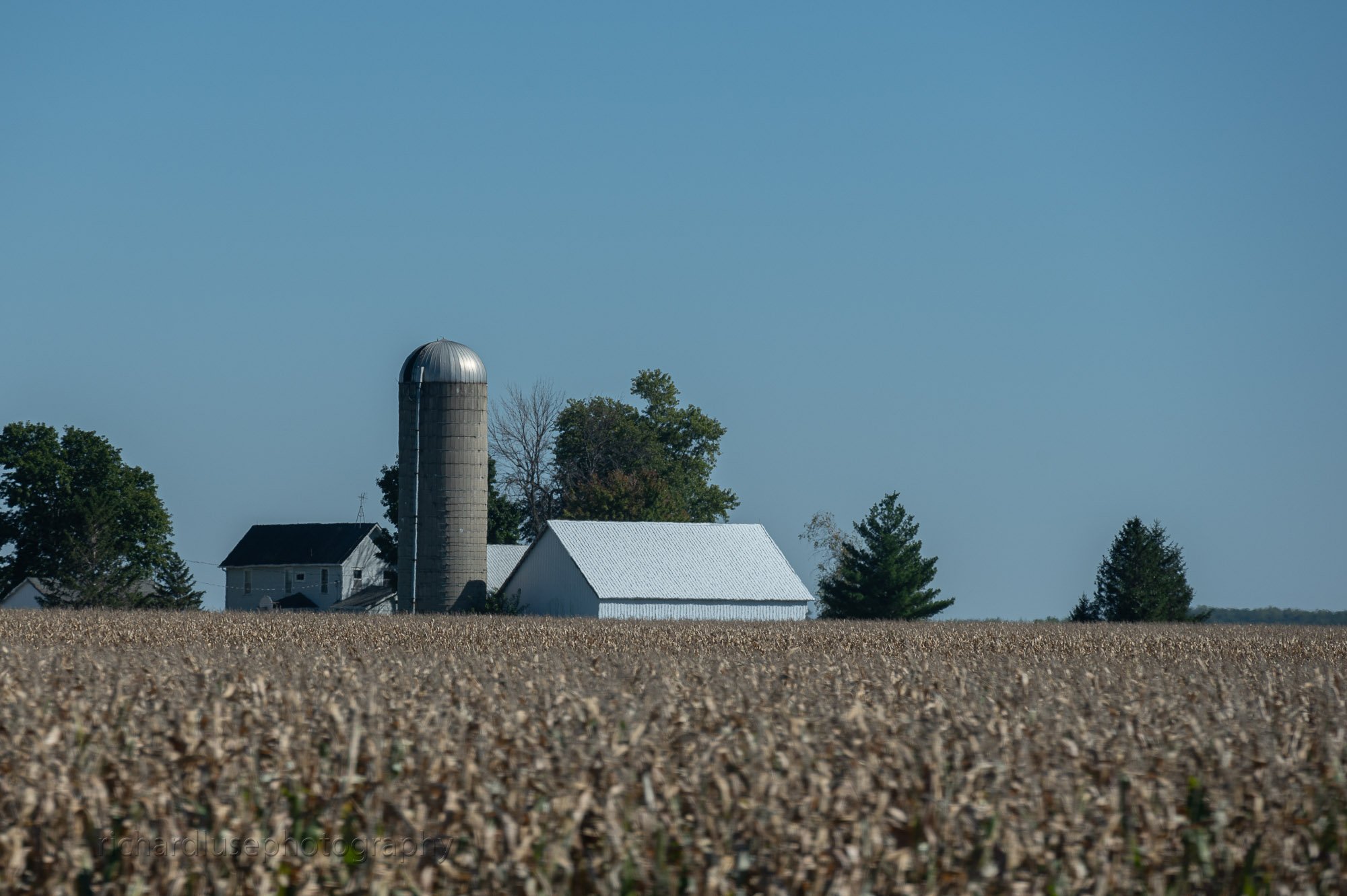 Ohio & Illinois have a huge number of corn farms