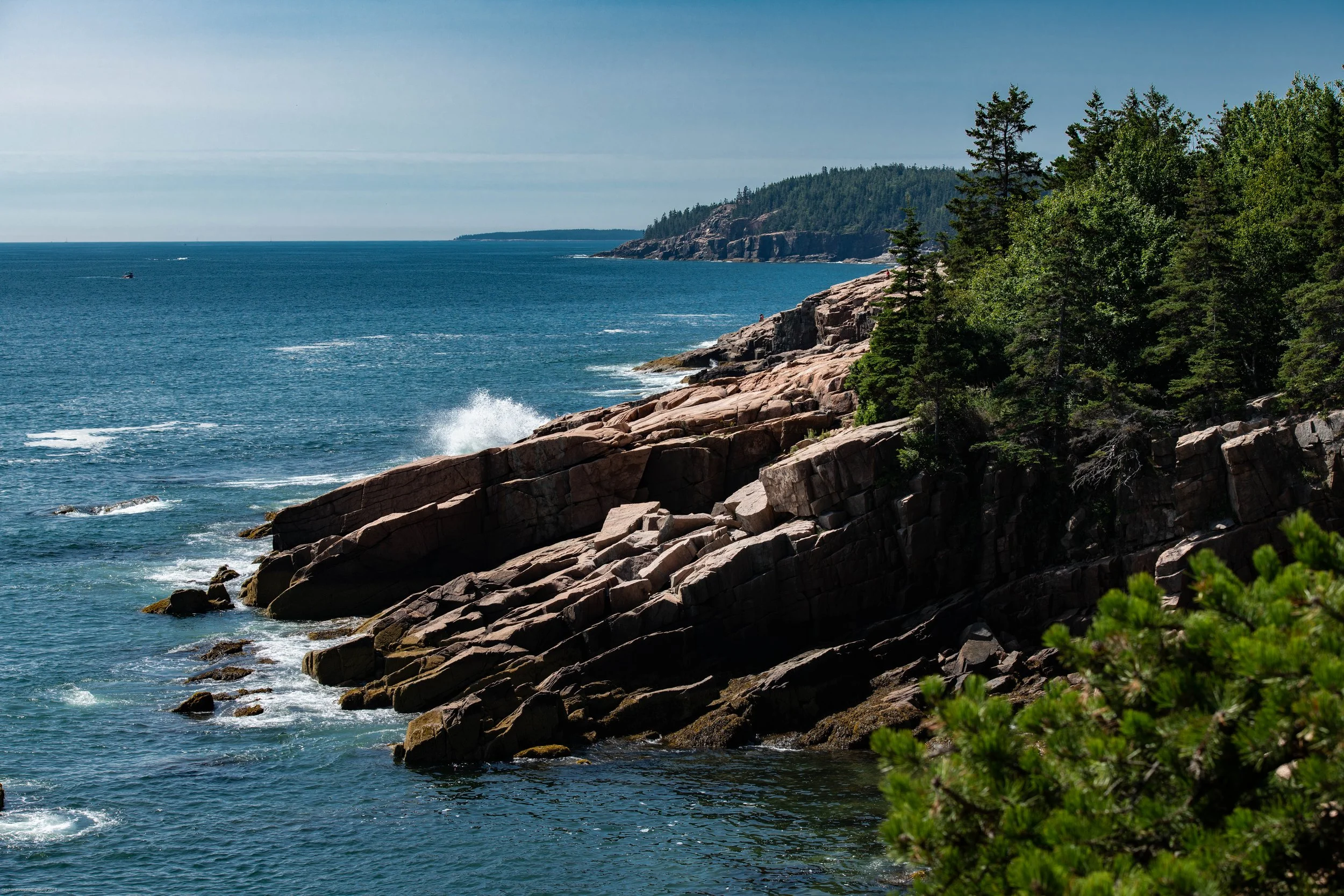 _DSC2881.jpg