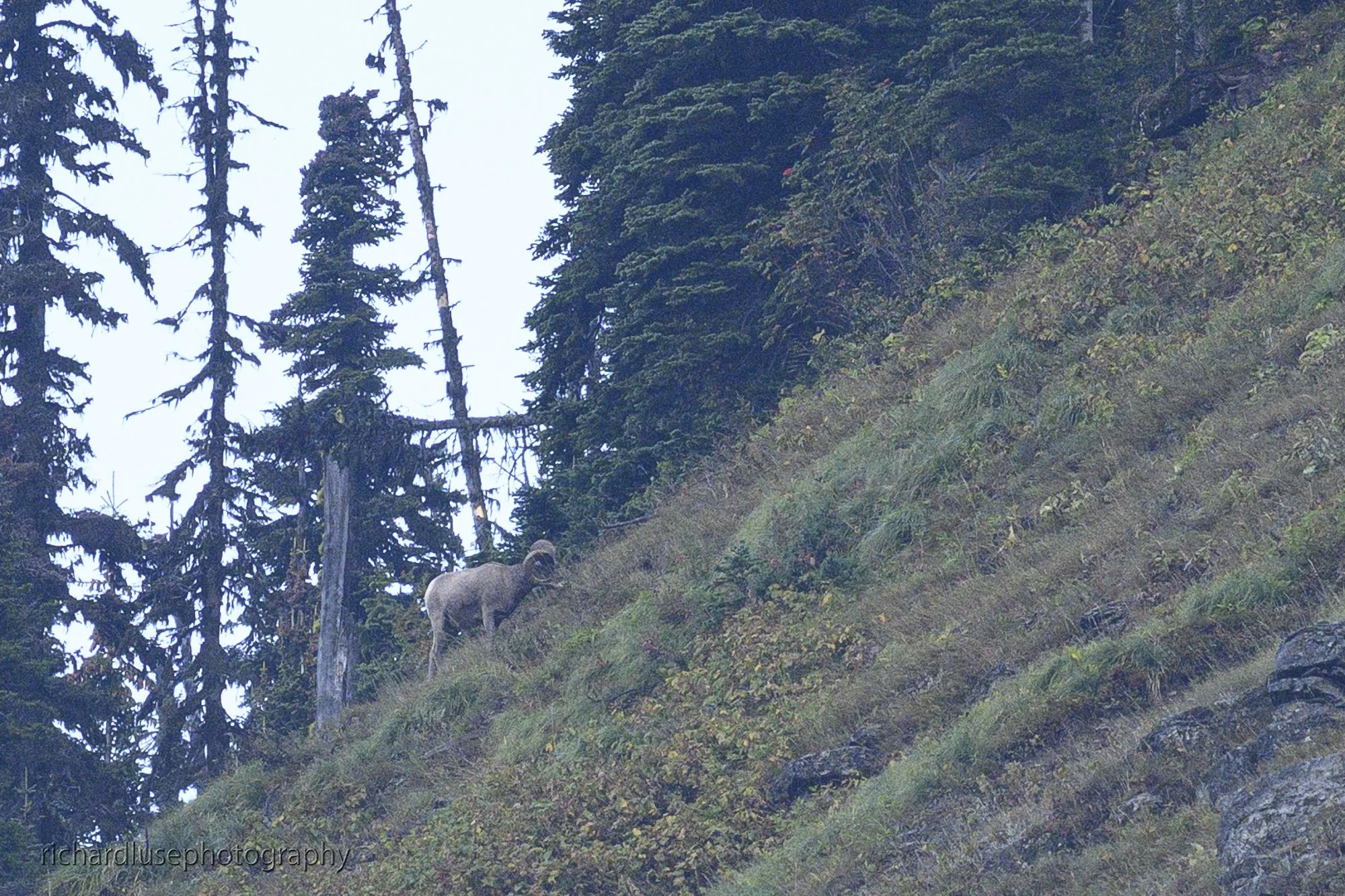 DSC_5043.JPG