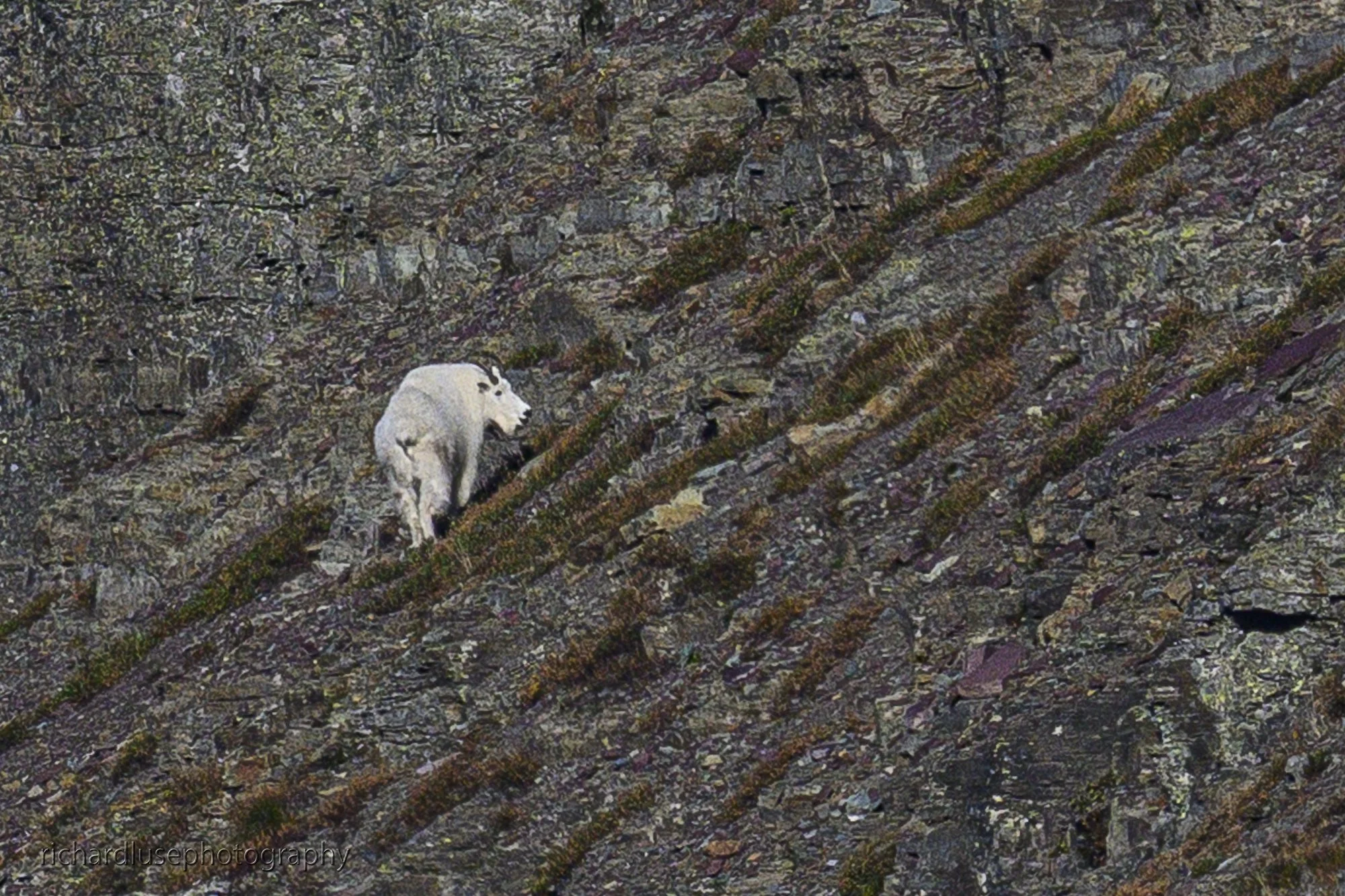 DSC_5418.JPG