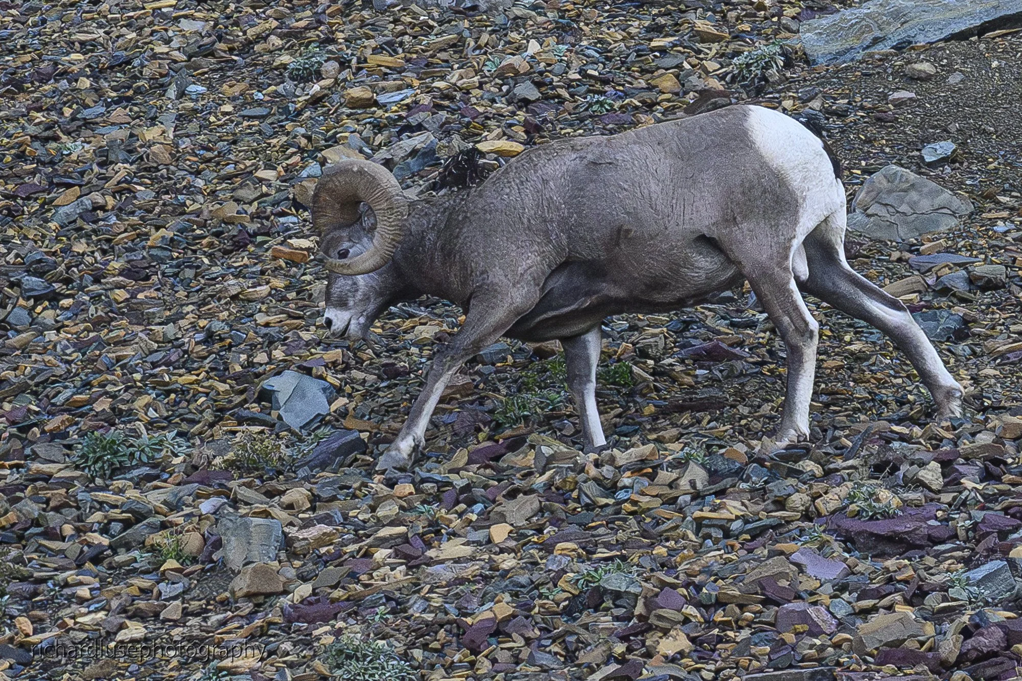 DSC_5522.JPG