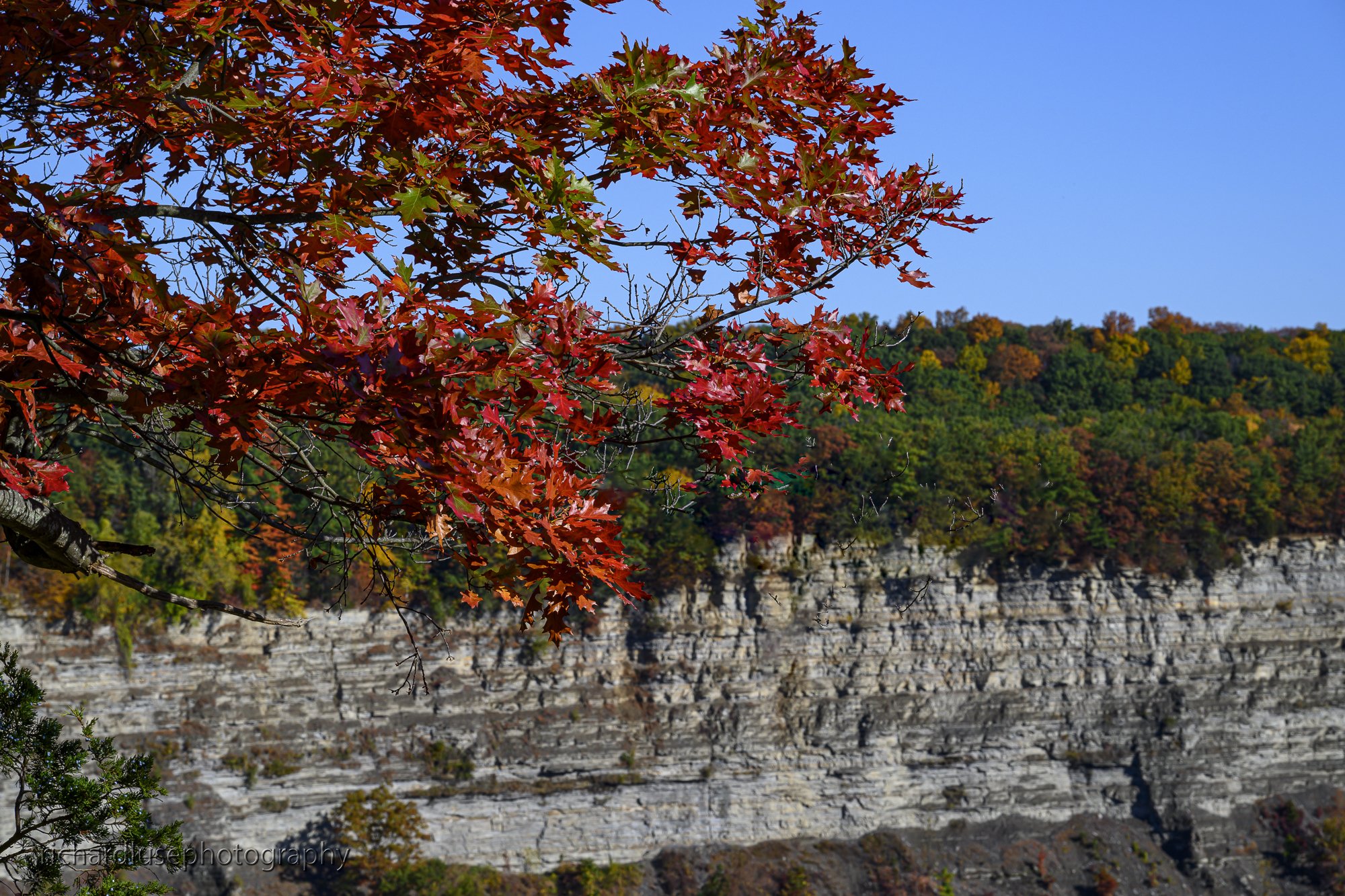 _DSC0411.JPG