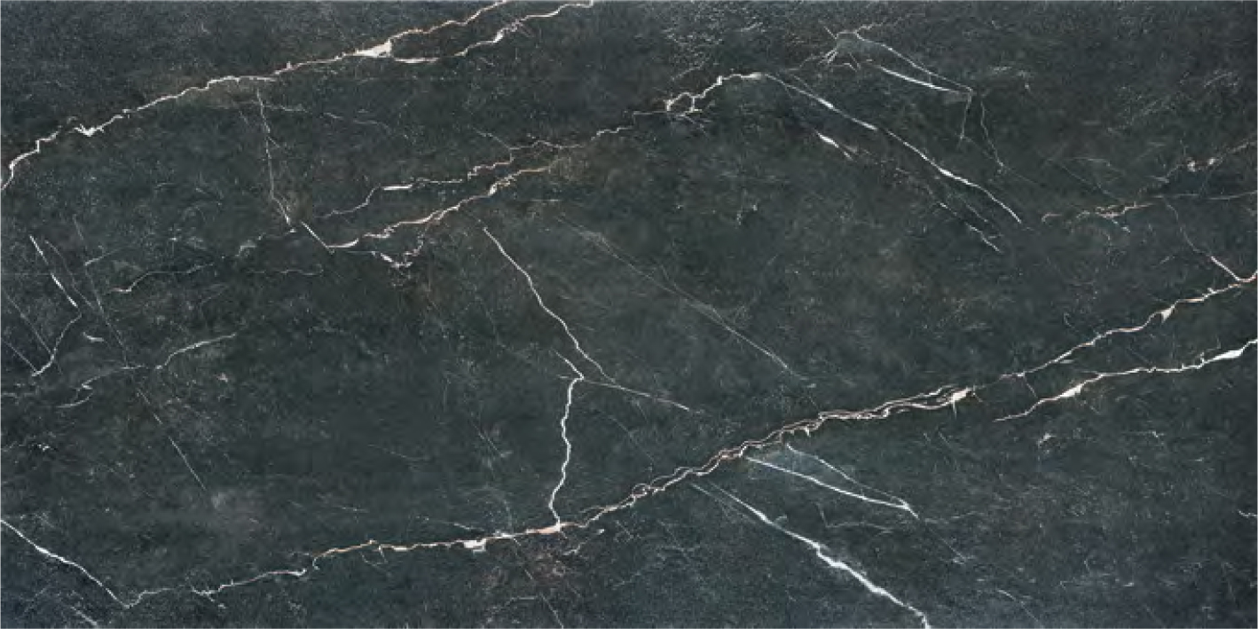 Imperium Black Relief 60x120.jpg