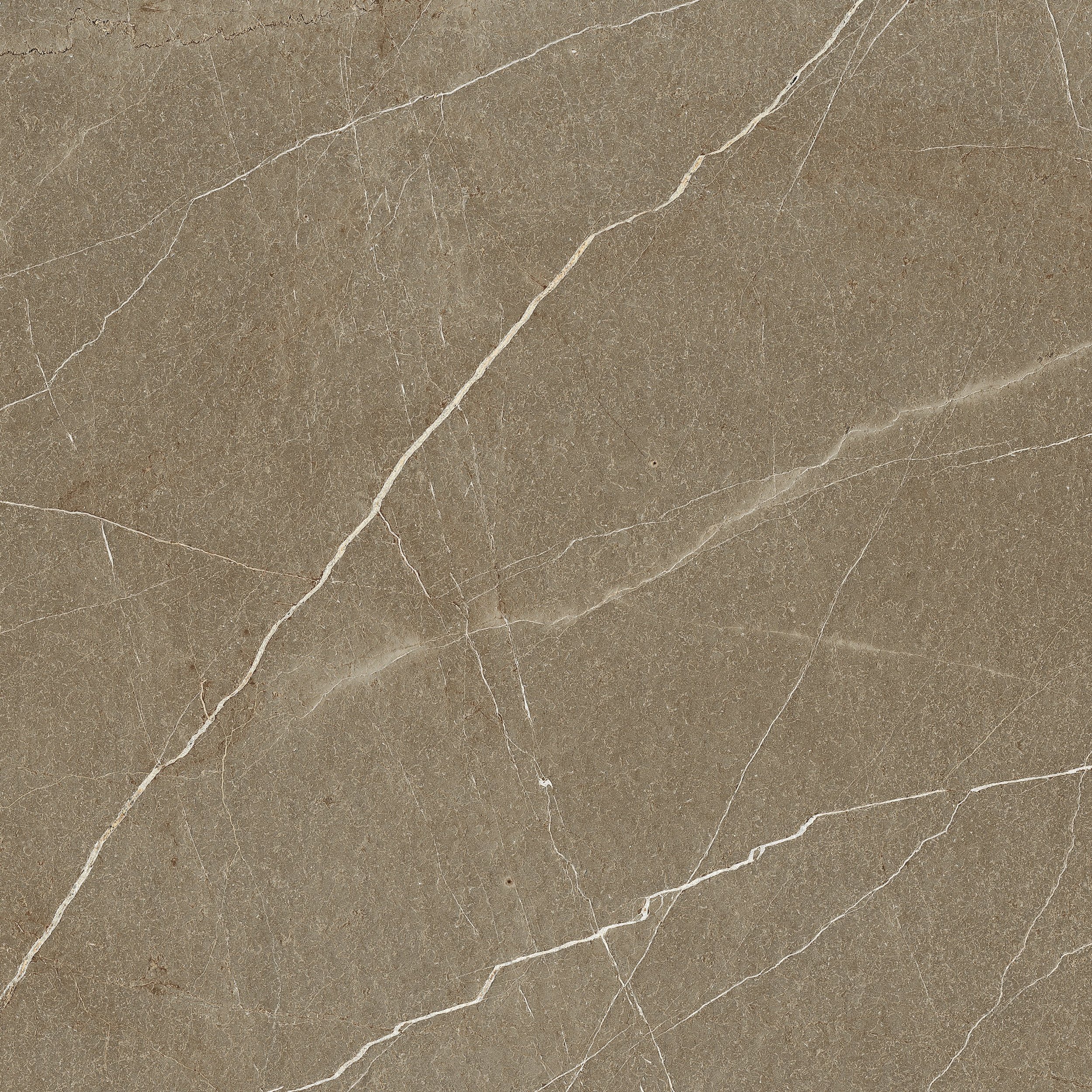 Fastination Marrone Polished 75x75cm