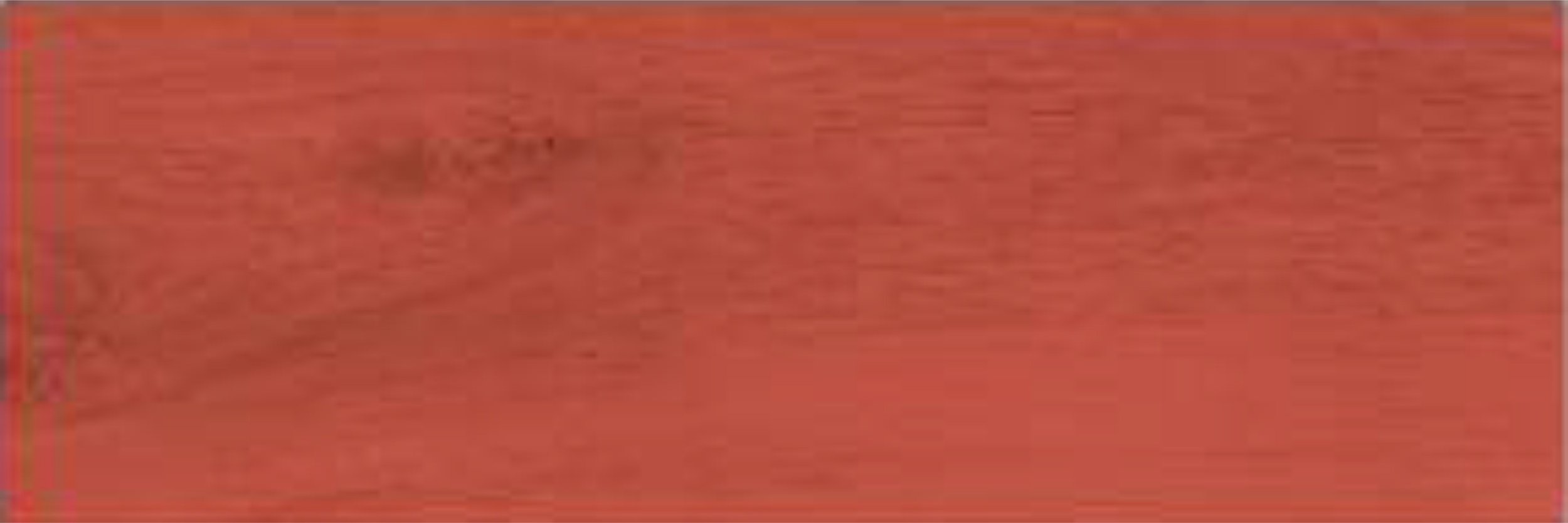 Vermis Rojo 20x60 cm