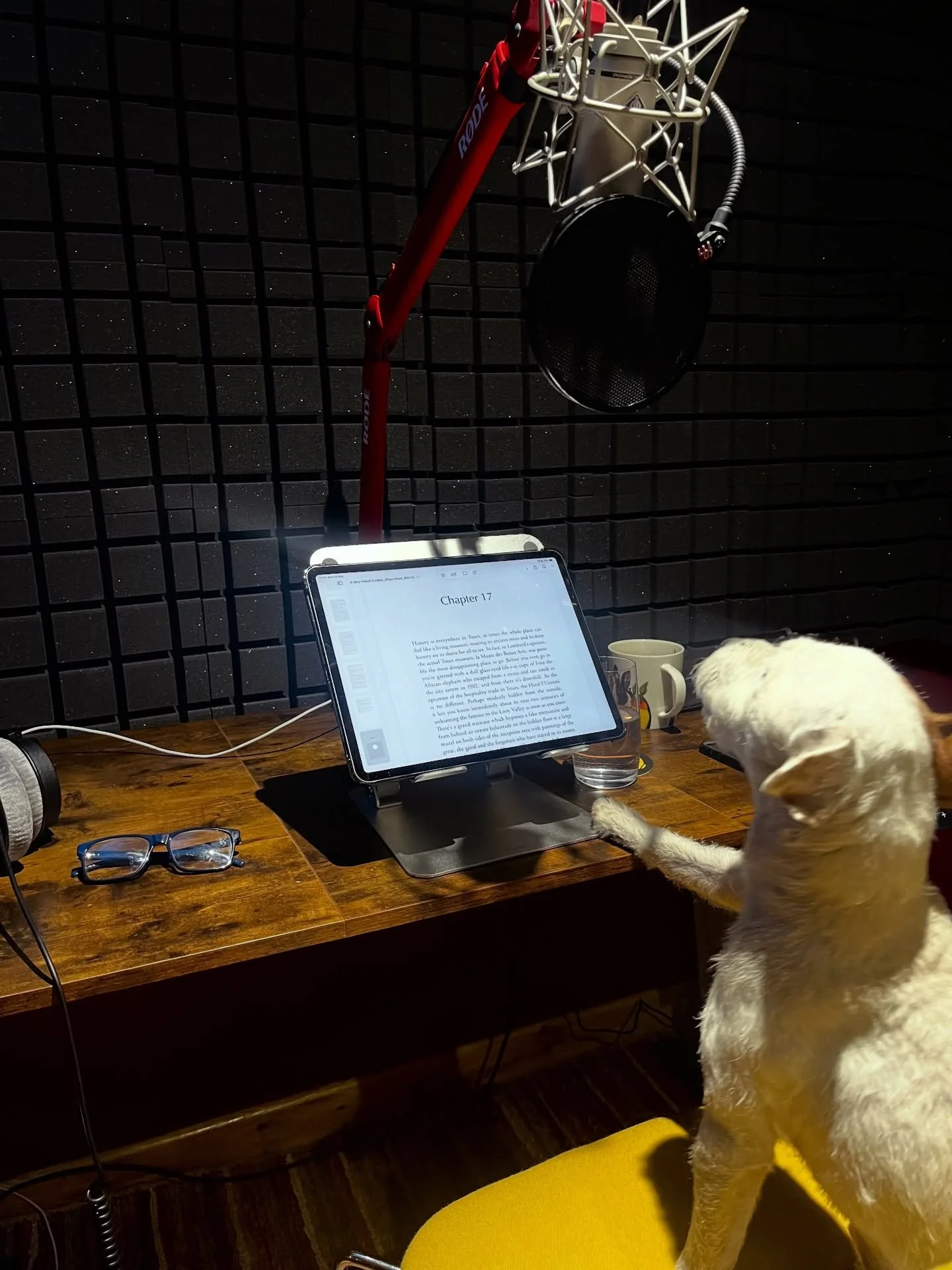 Each month we are searching for the very best narrators and actors to read our audiobooks and voiceovers. This is our latest professional - Berty! Never complains , voice is always warmed up and ready to go and has a very dynamic voice . A future sta