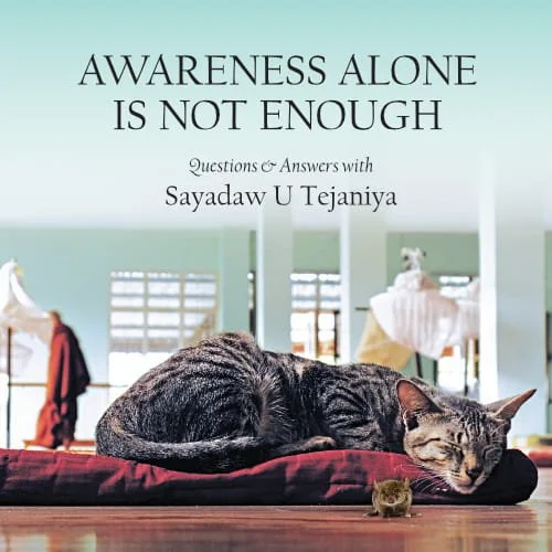Awareness Alone Website (sqoosh).jpg