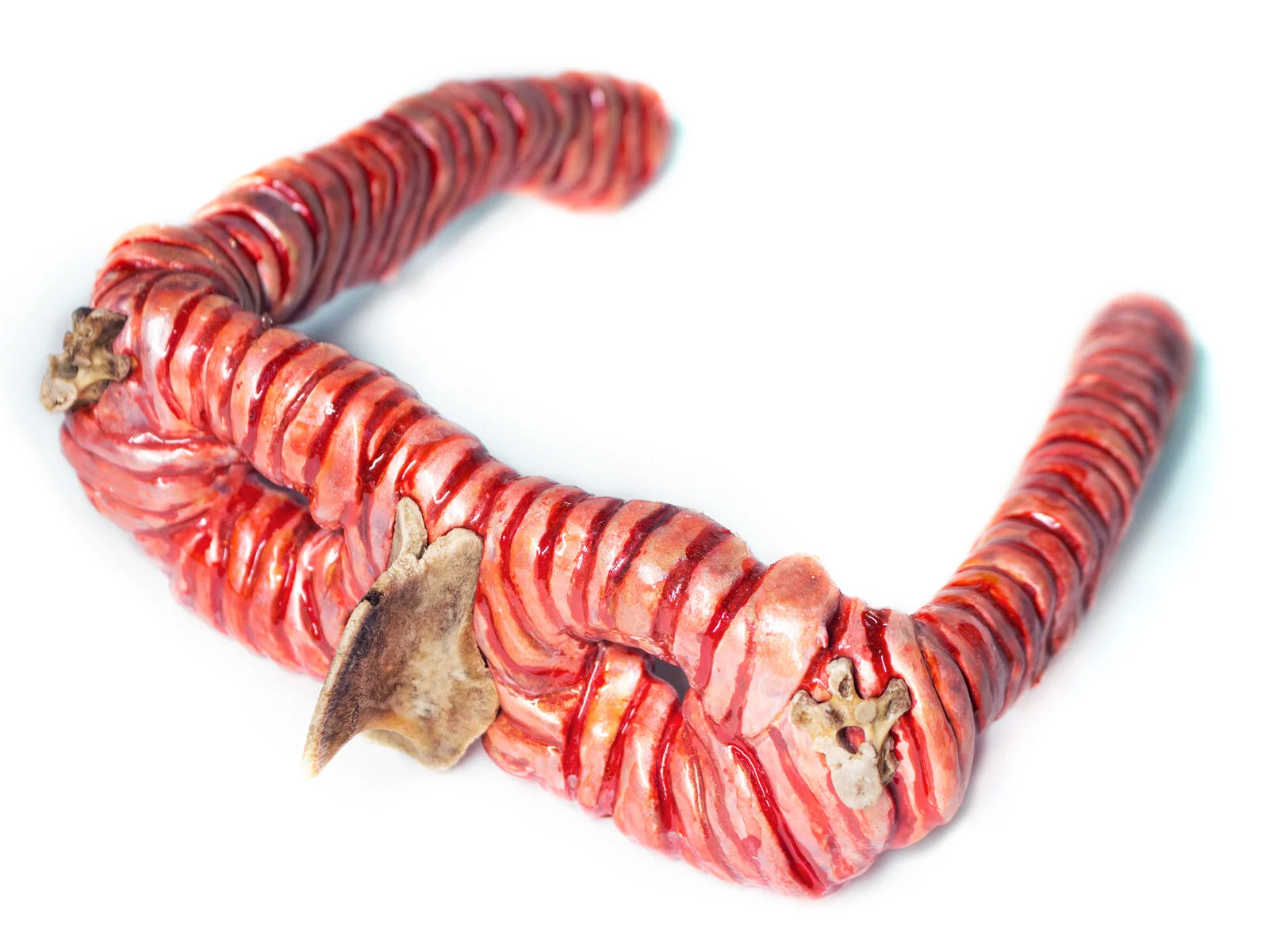 CHICKEN GLASSES LEFT DETAIL.jpg
