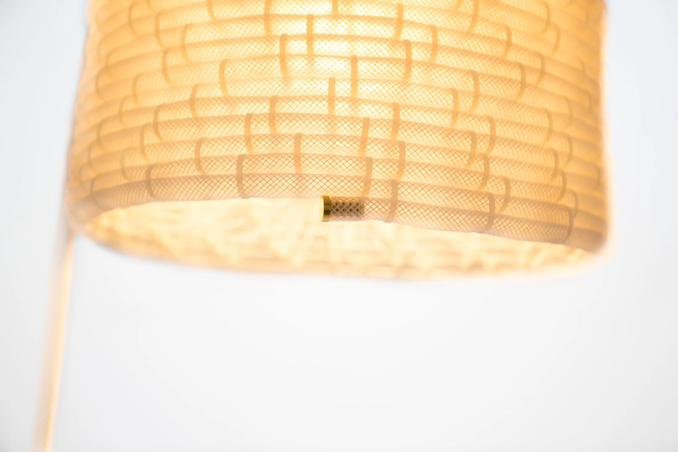 Carnivora Lamp