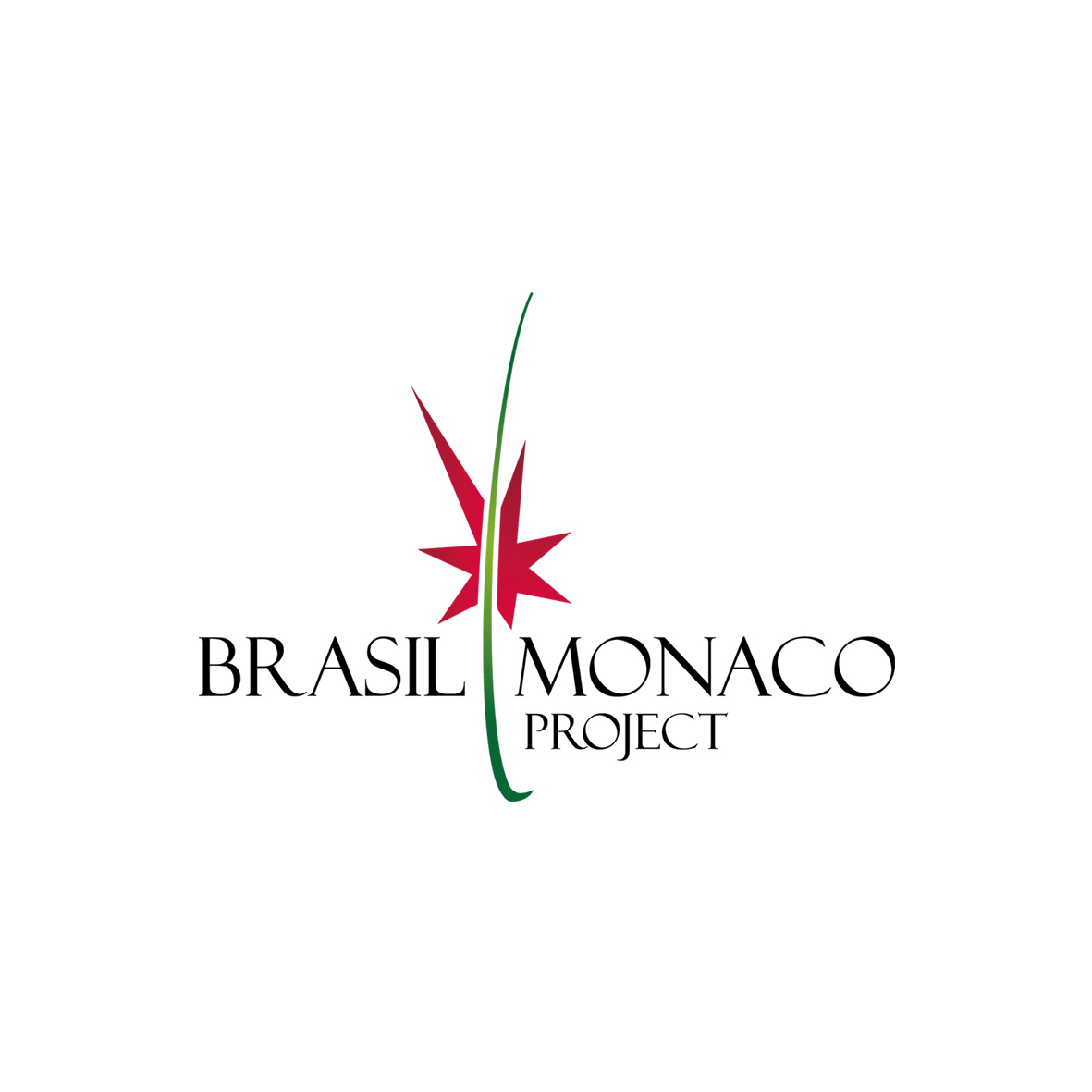 BRMonacoProject.jpg