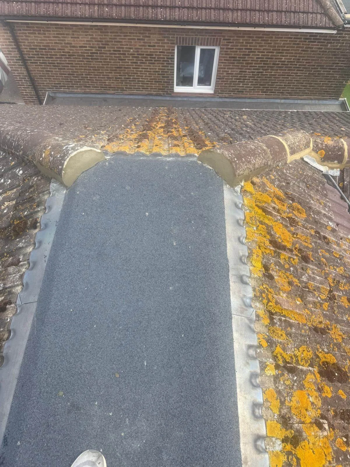 Brighton flat roof mineral.jpg