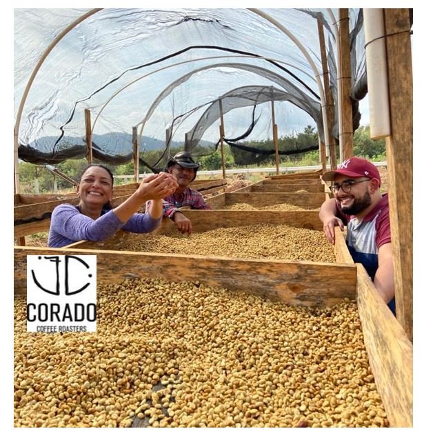 Kaffe rett fra bonden