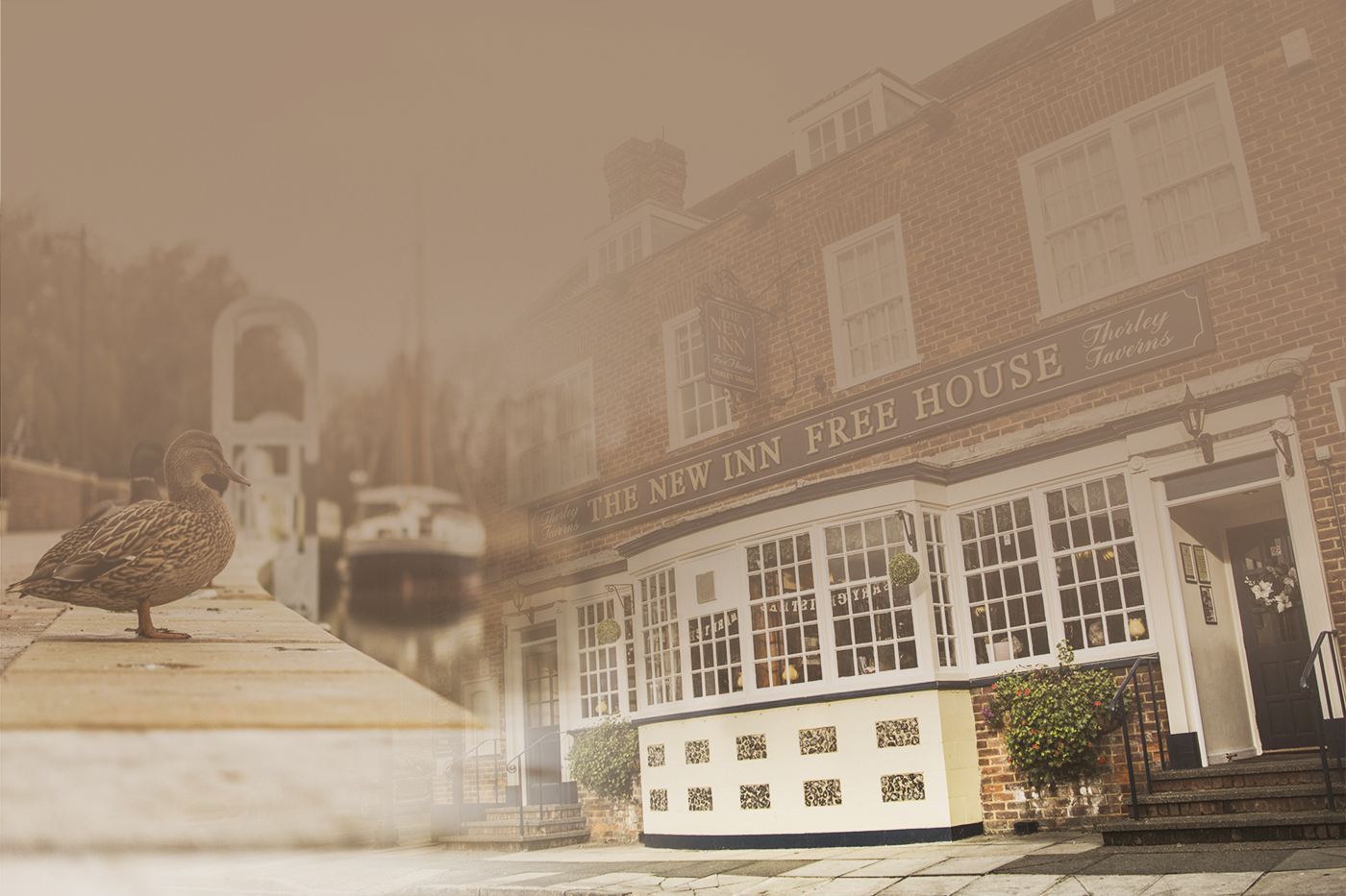 The New Inn Image Home.jpg