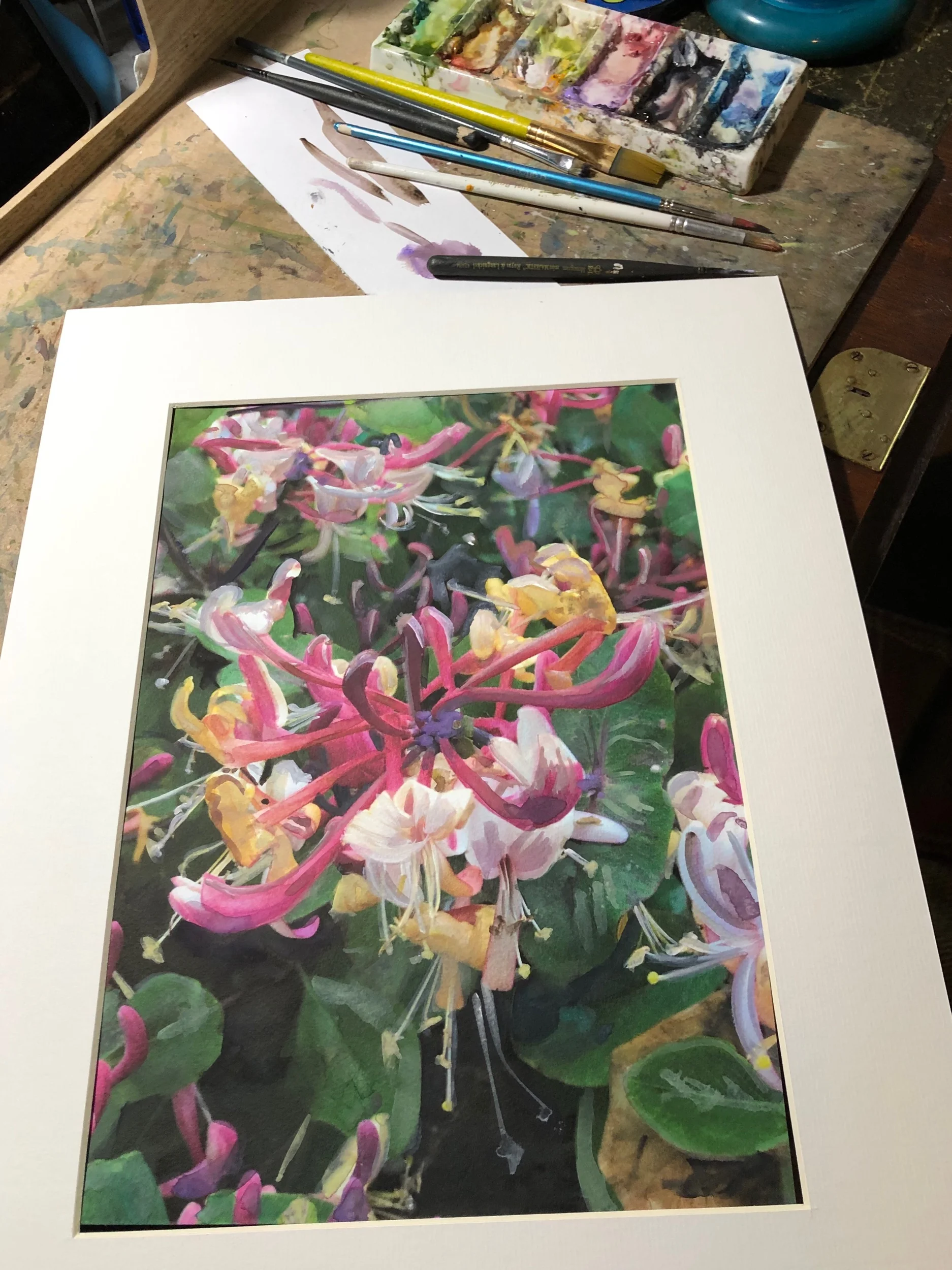 IMG_3532.jpeg