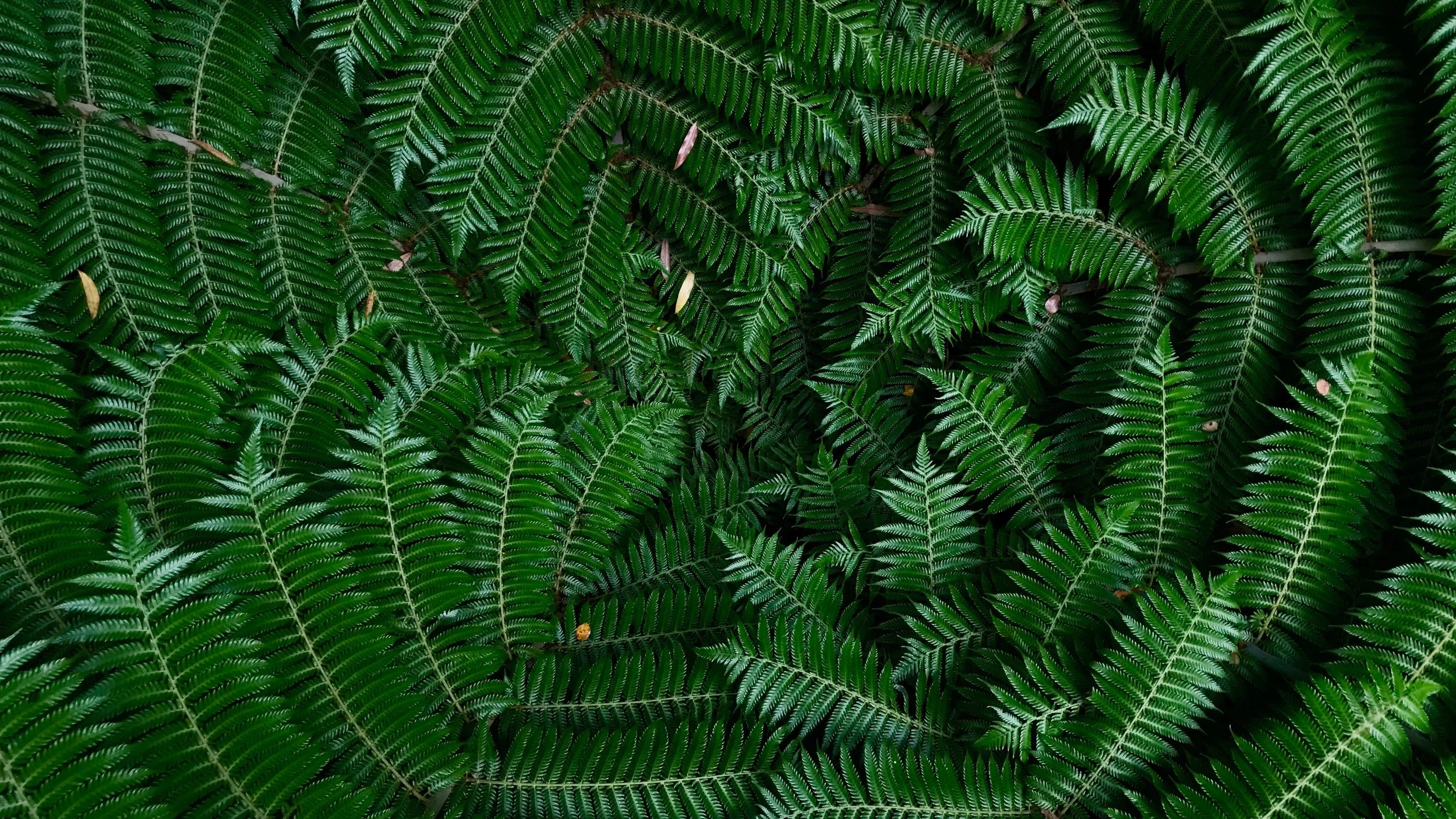 Photo by Bryn Parish on Unsplash