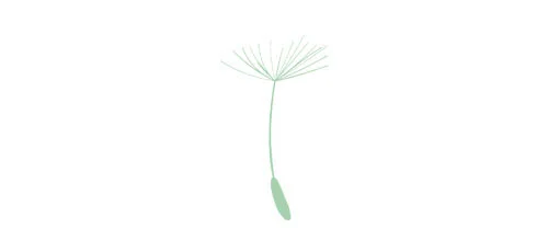 francesca+scaglia+counseling+bra+torino+cuneo PIEMONTE CONSULENZE +.jpg