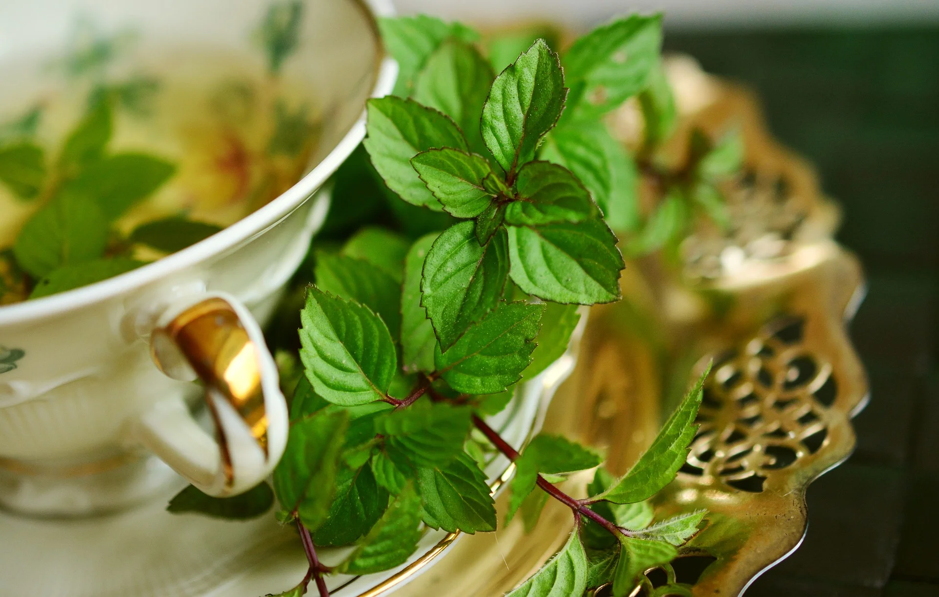 Pepper Mint