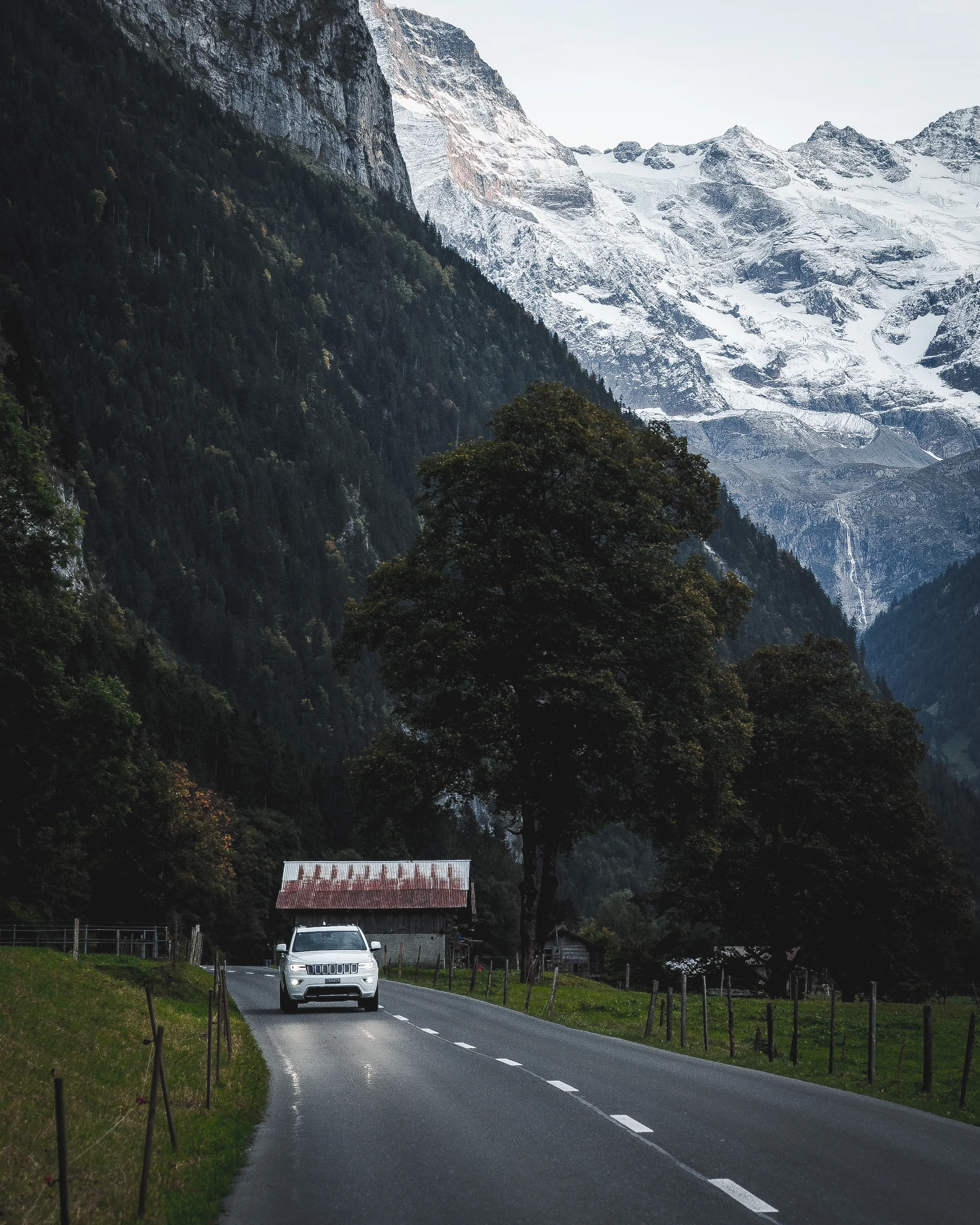 Rental Cars - Tom in 't Veld-1.JPG