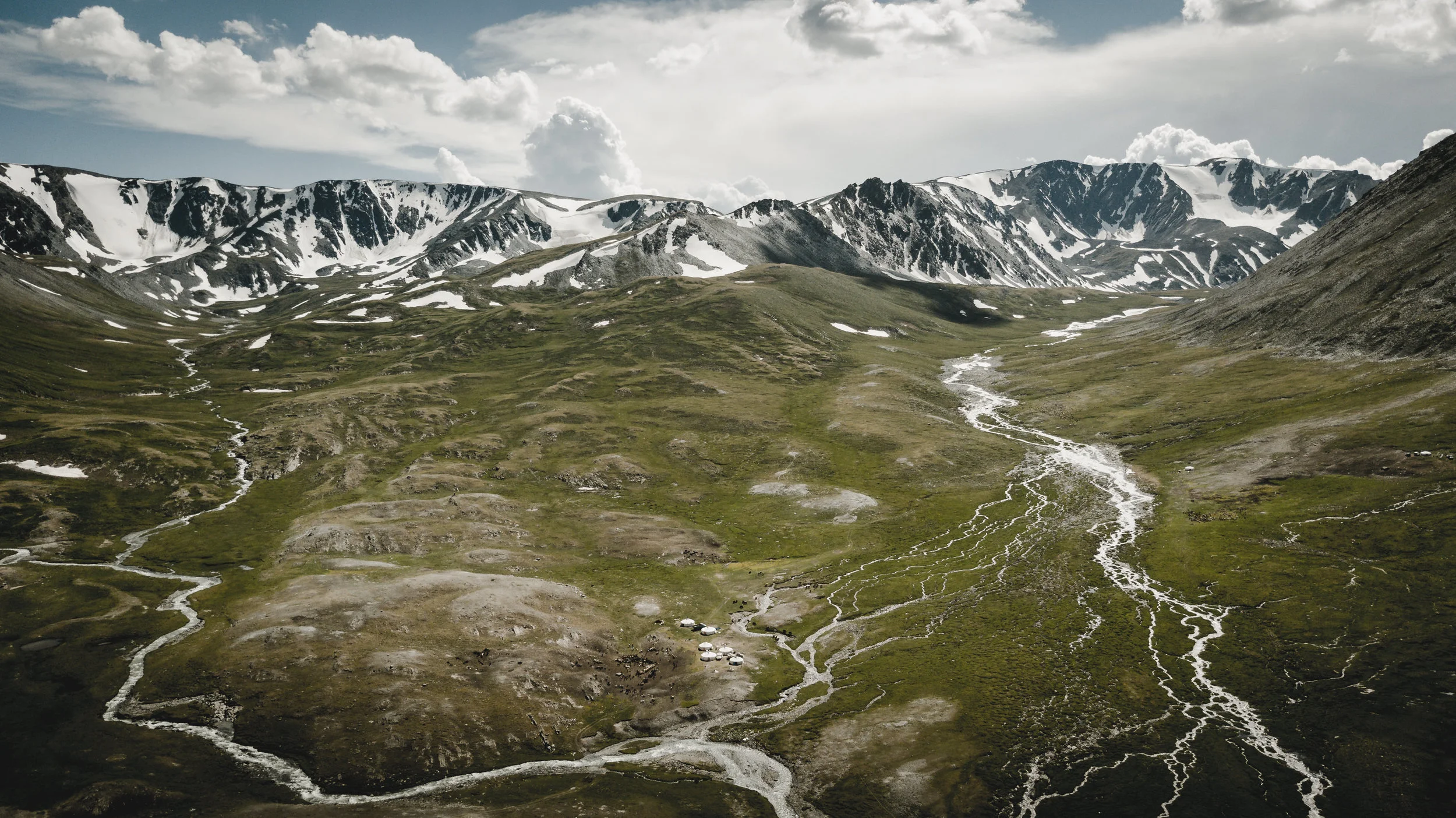 FoundLost Triple A 9.JPG