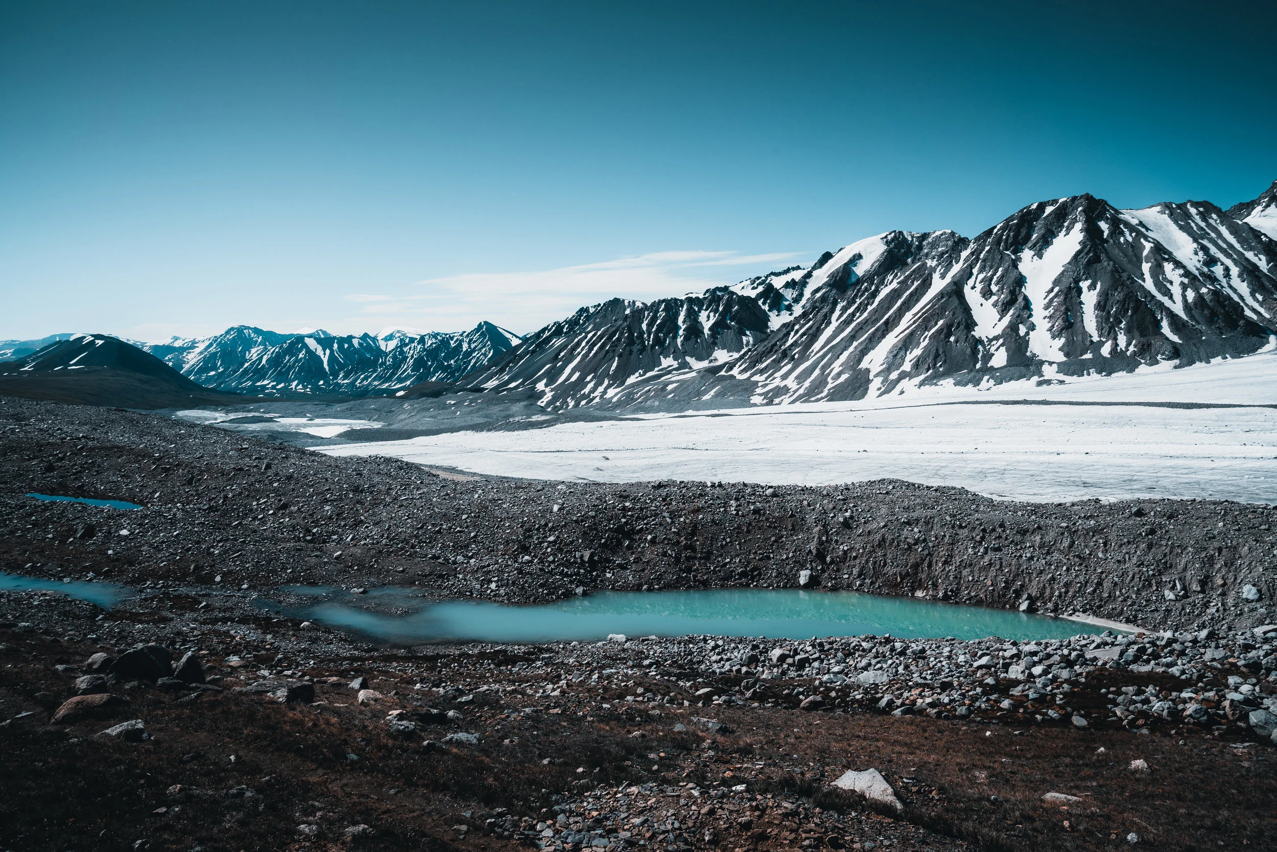 FoundLost Triple A 19.JPG