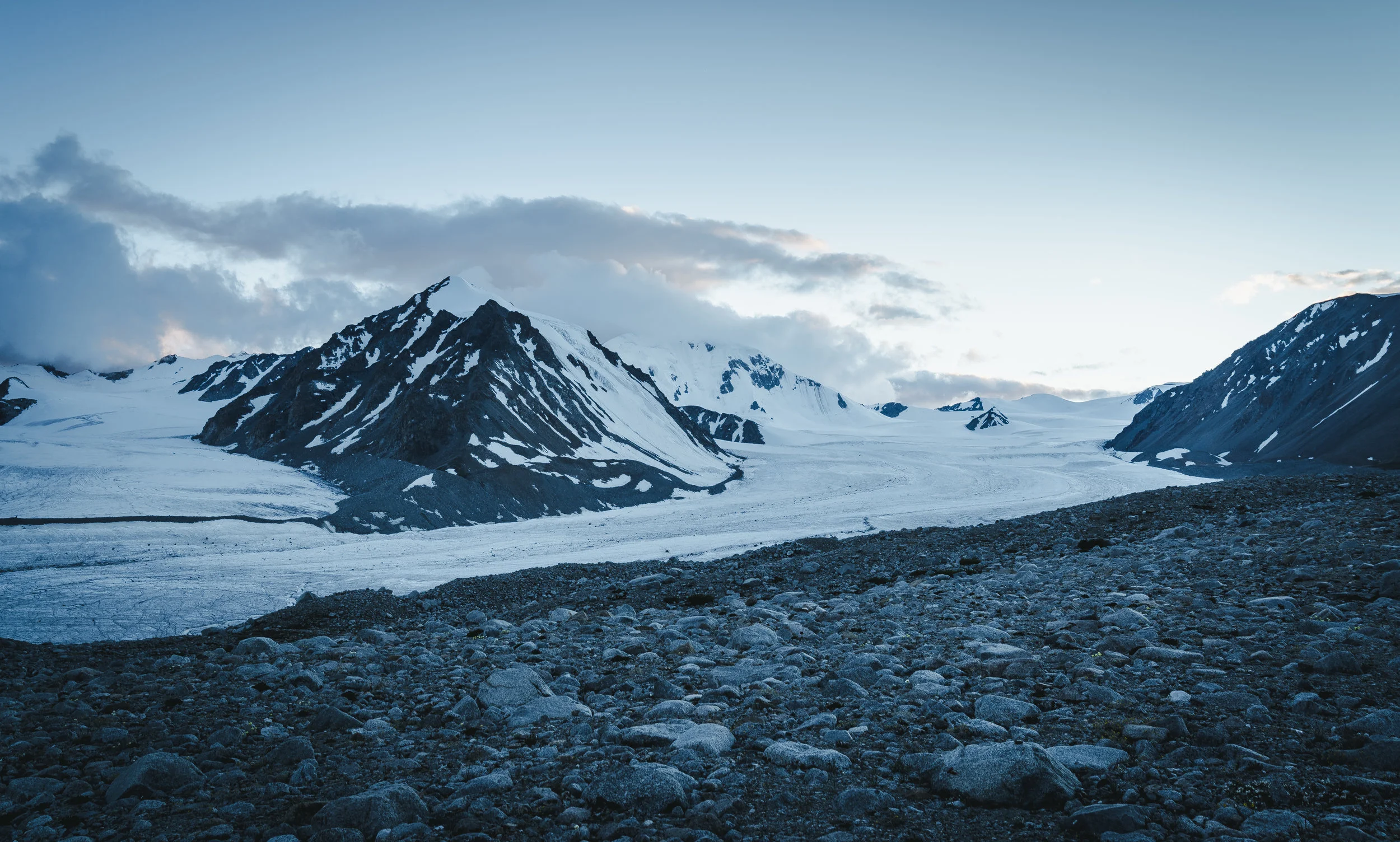 FoundLost Triple A 21.JPG